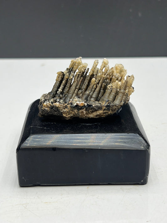 Museum Quality! Crystal Calcite On Stalactite Hematite With Obsidian Stand