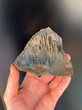 Museum Grade Limonite With Stalactite Goethite