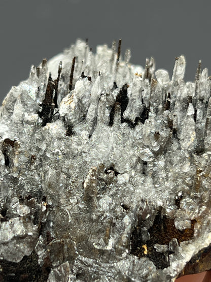 Museum Quality! Crystal Calcite On Stalactite Hematite