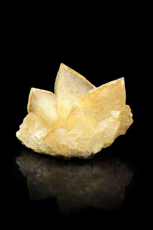 Very Unique, Museum Grade Big Tooth Crystal Calcite Specimen