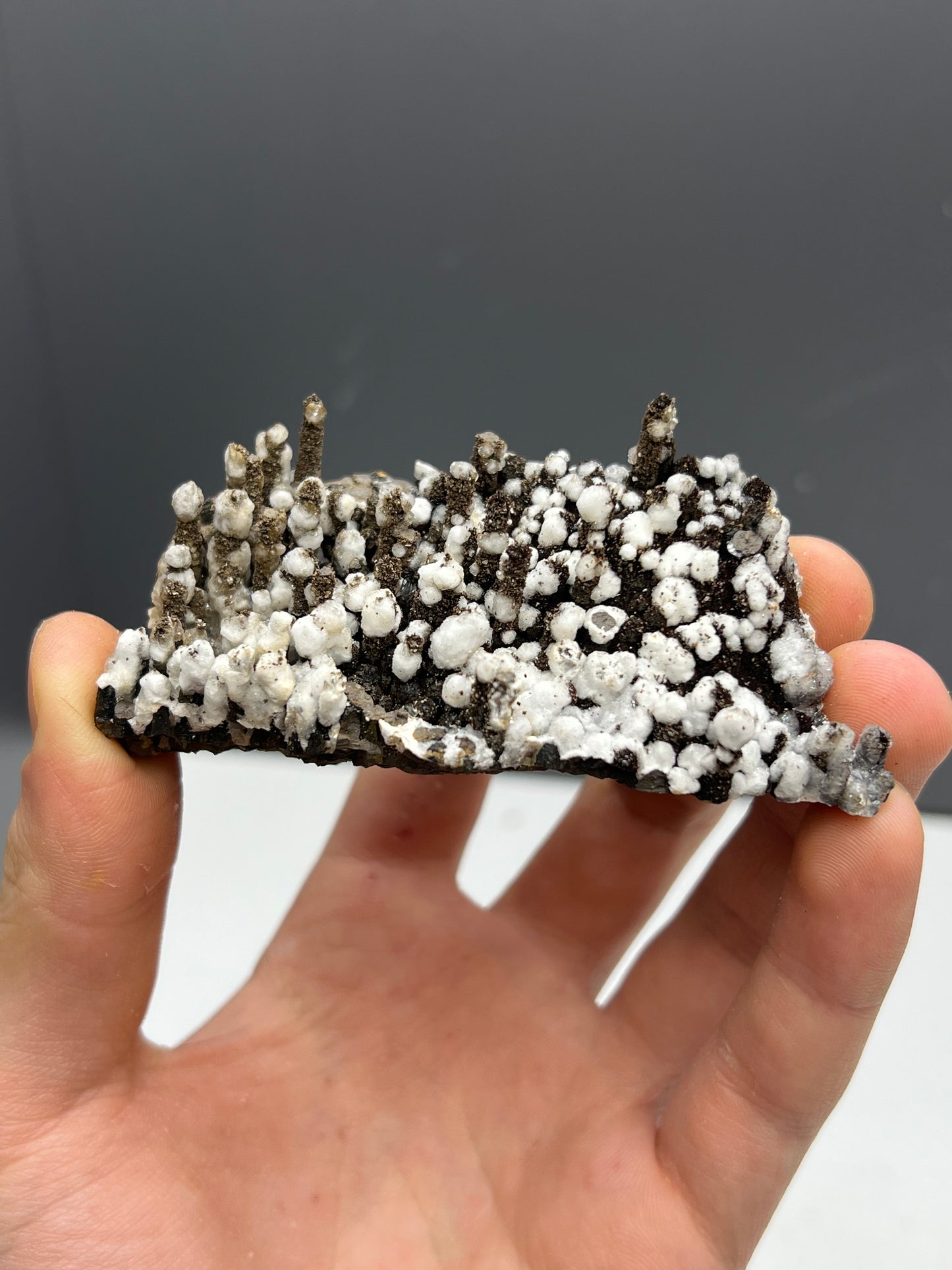 Museum Quality! Snow Crystal Calcite On Stalactite Hematite