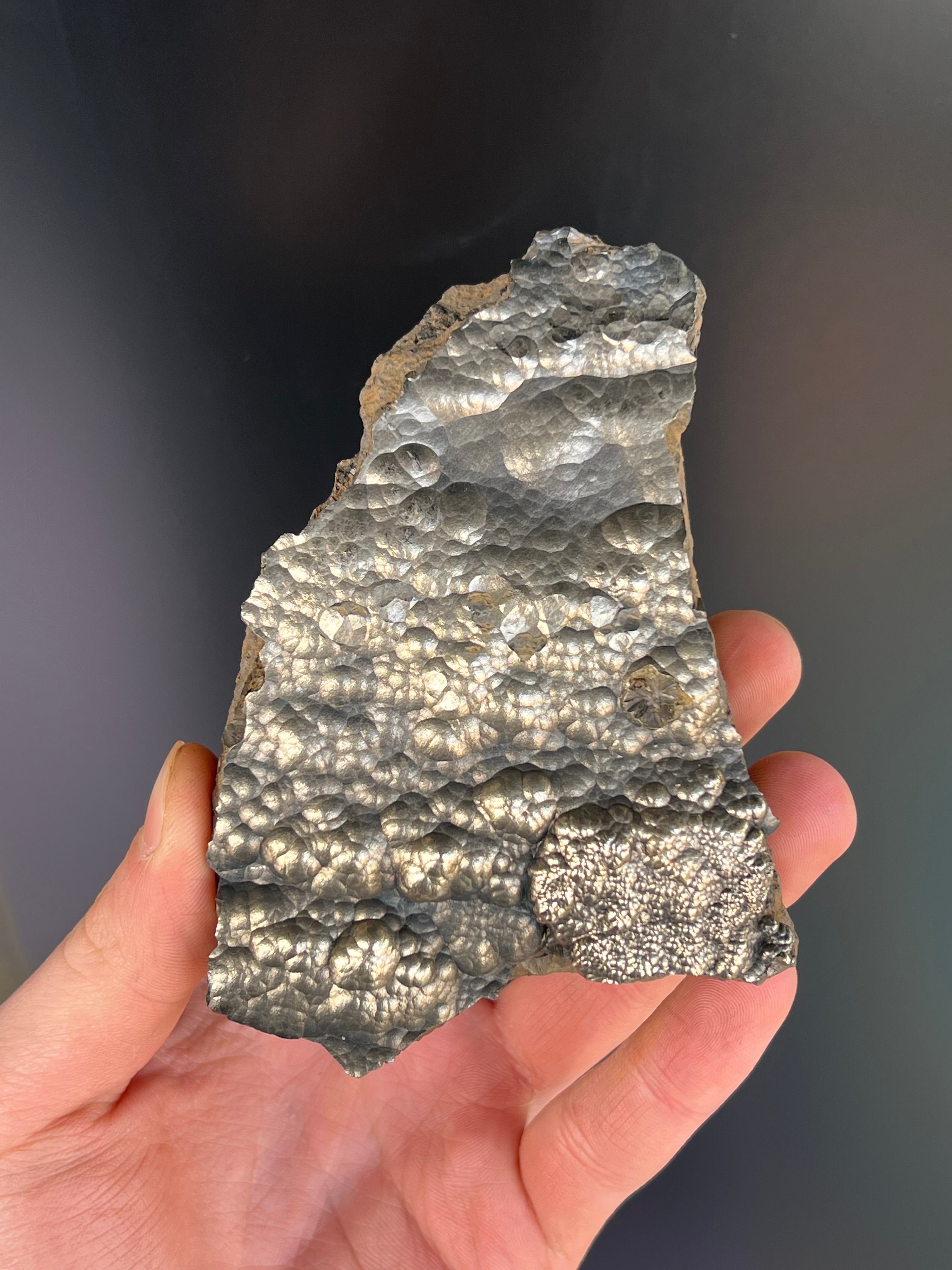 “Museum Grade” Golden Color 2 Sided Botryoidal Goethite