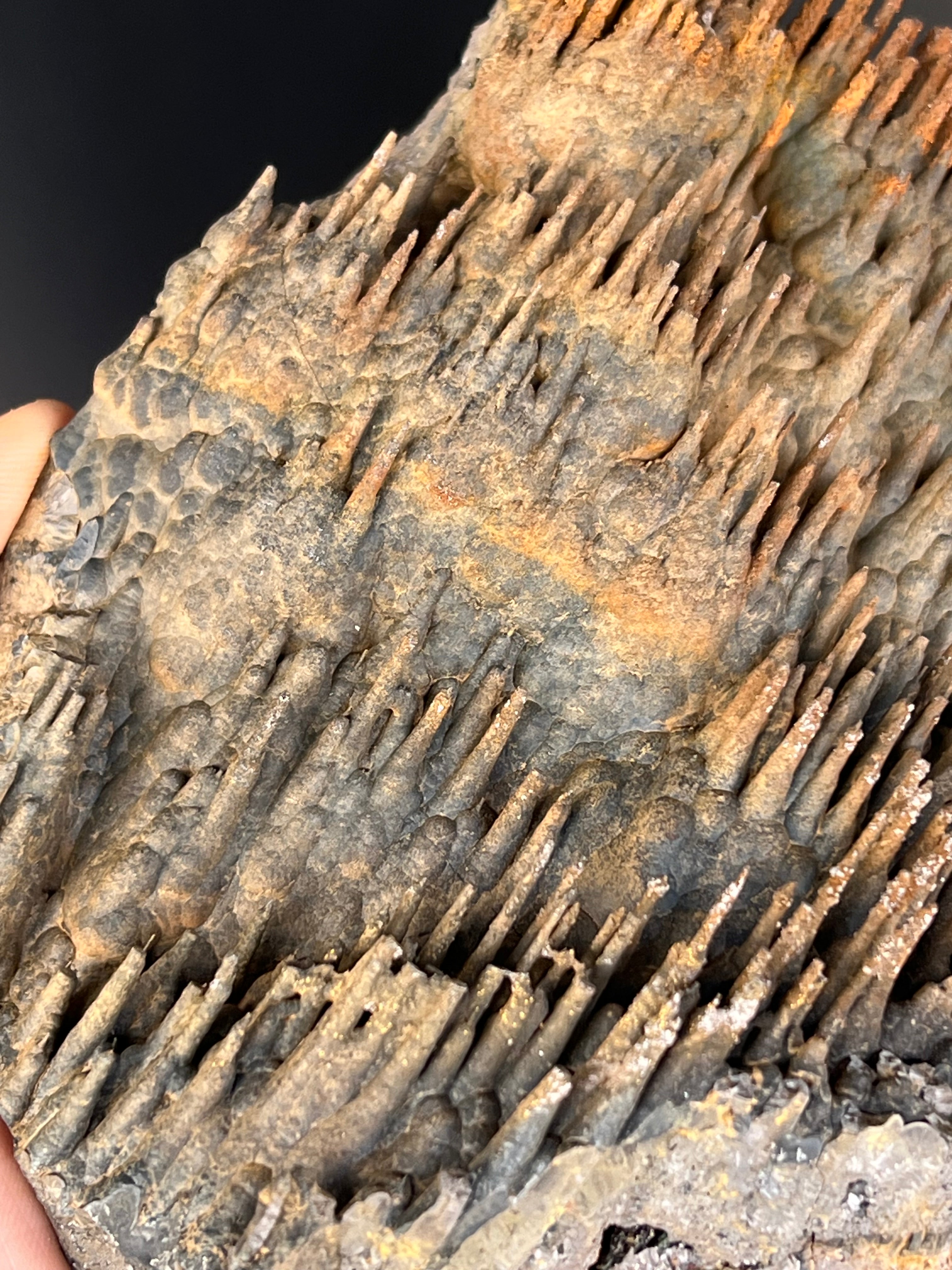 Museum Grade Limonite With Stalactite Goethite