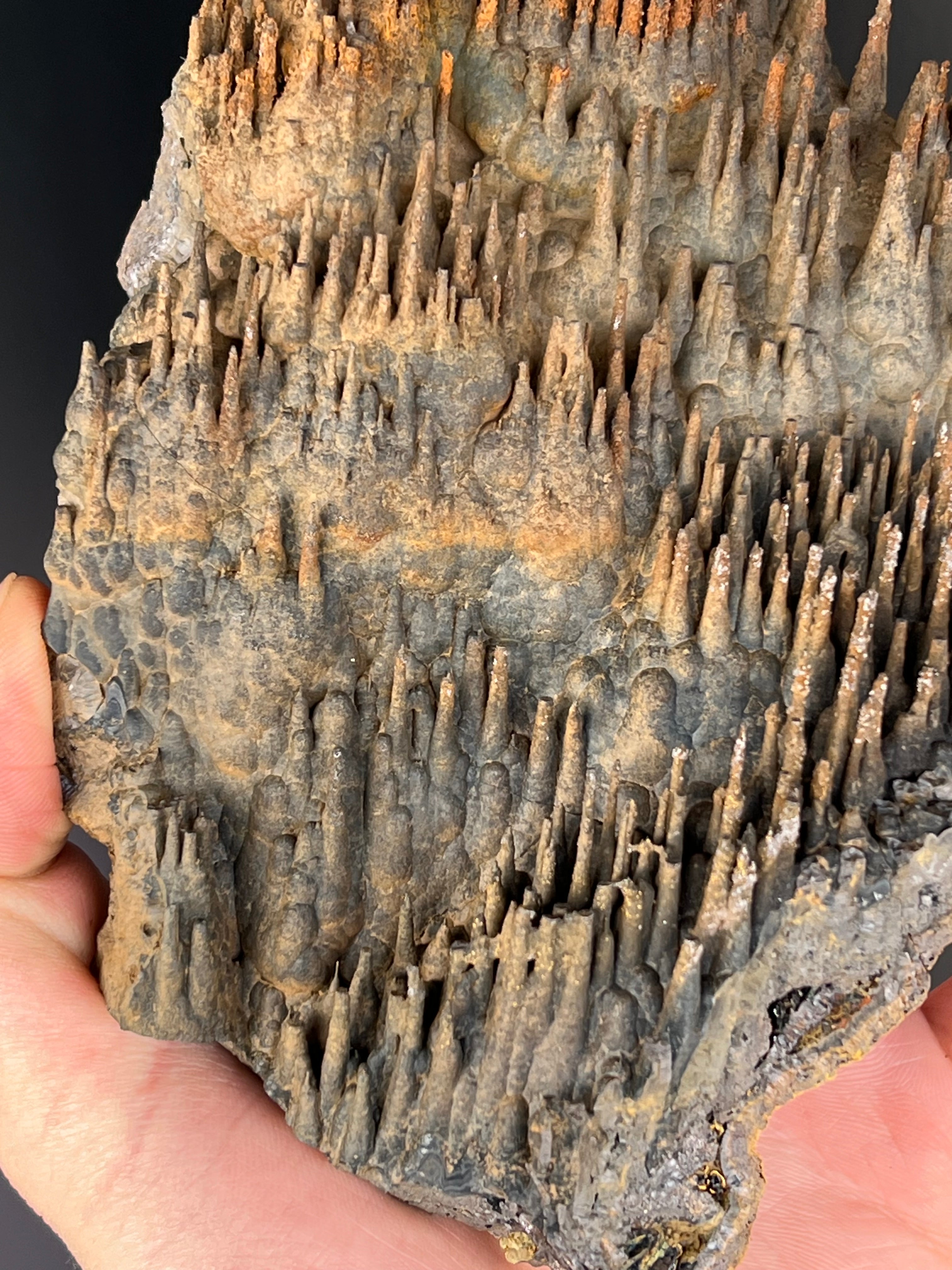 Museum Grade Limonite With Stalactite Goethite