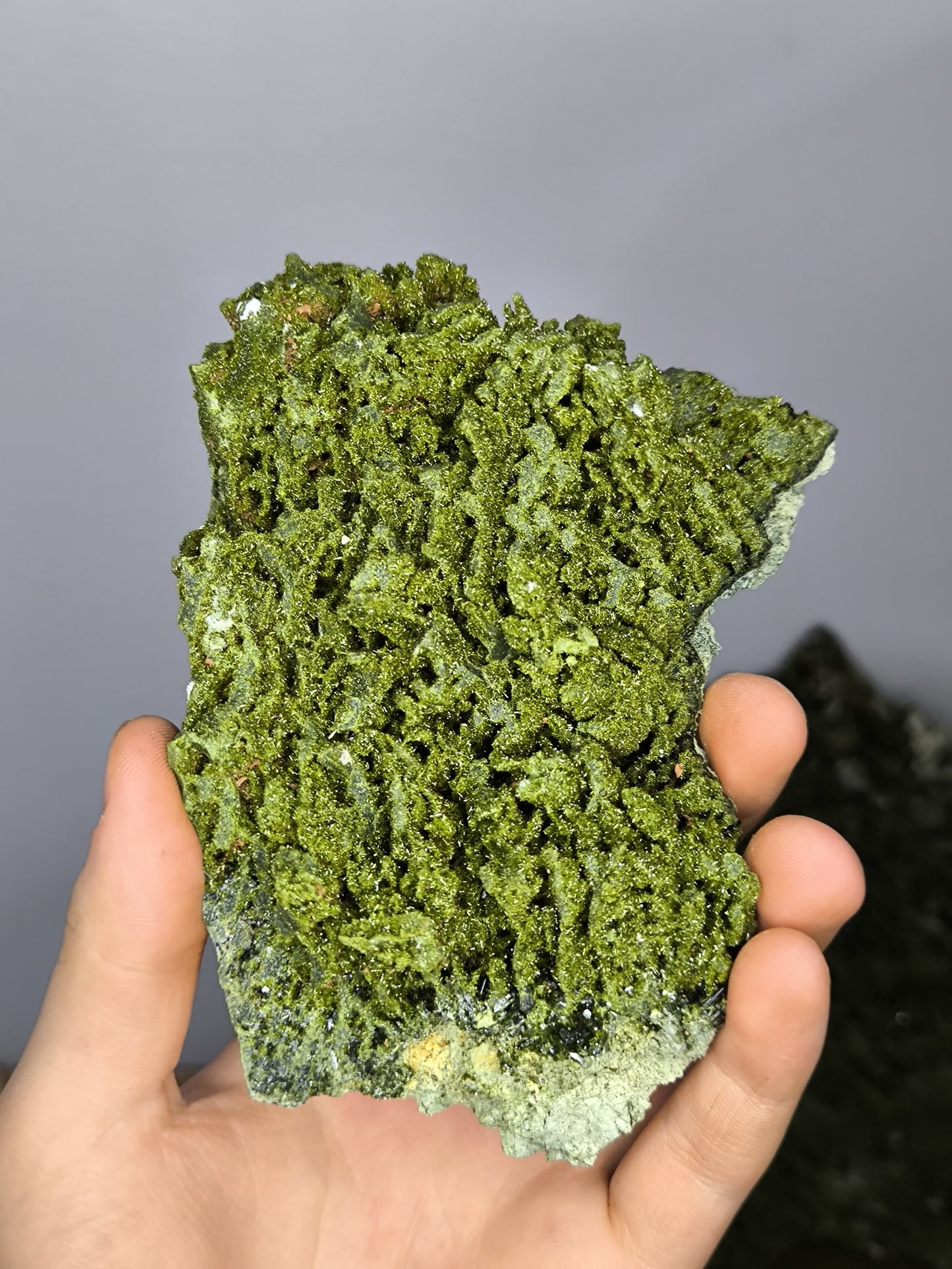 Light Green Forest Epidote Quartz