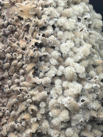Feather Crystal Calcite Specimen