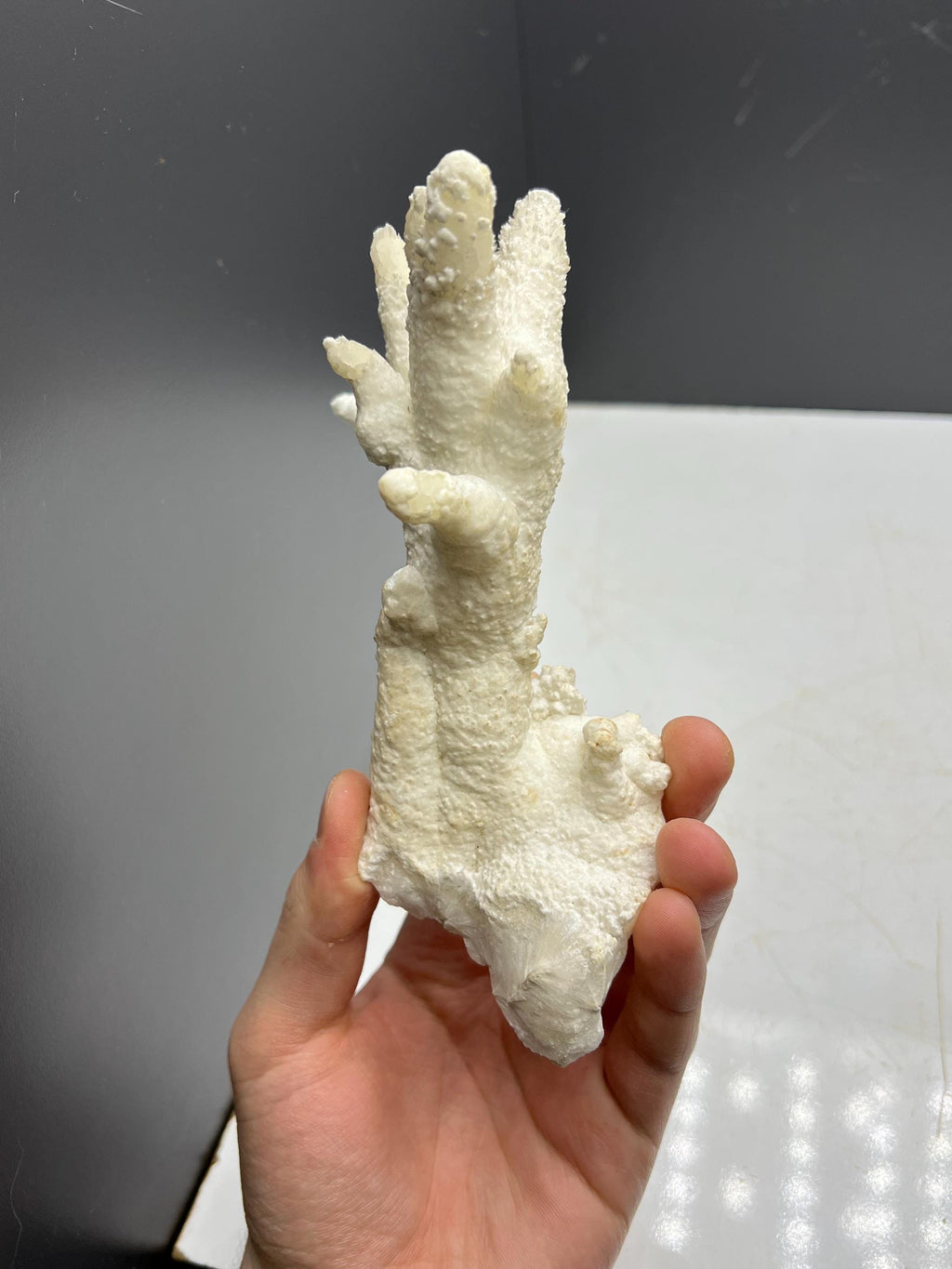 Very Special And Showy Stalactite Aragonite Mineral, From Turkey - Crystal Gemstone AE 