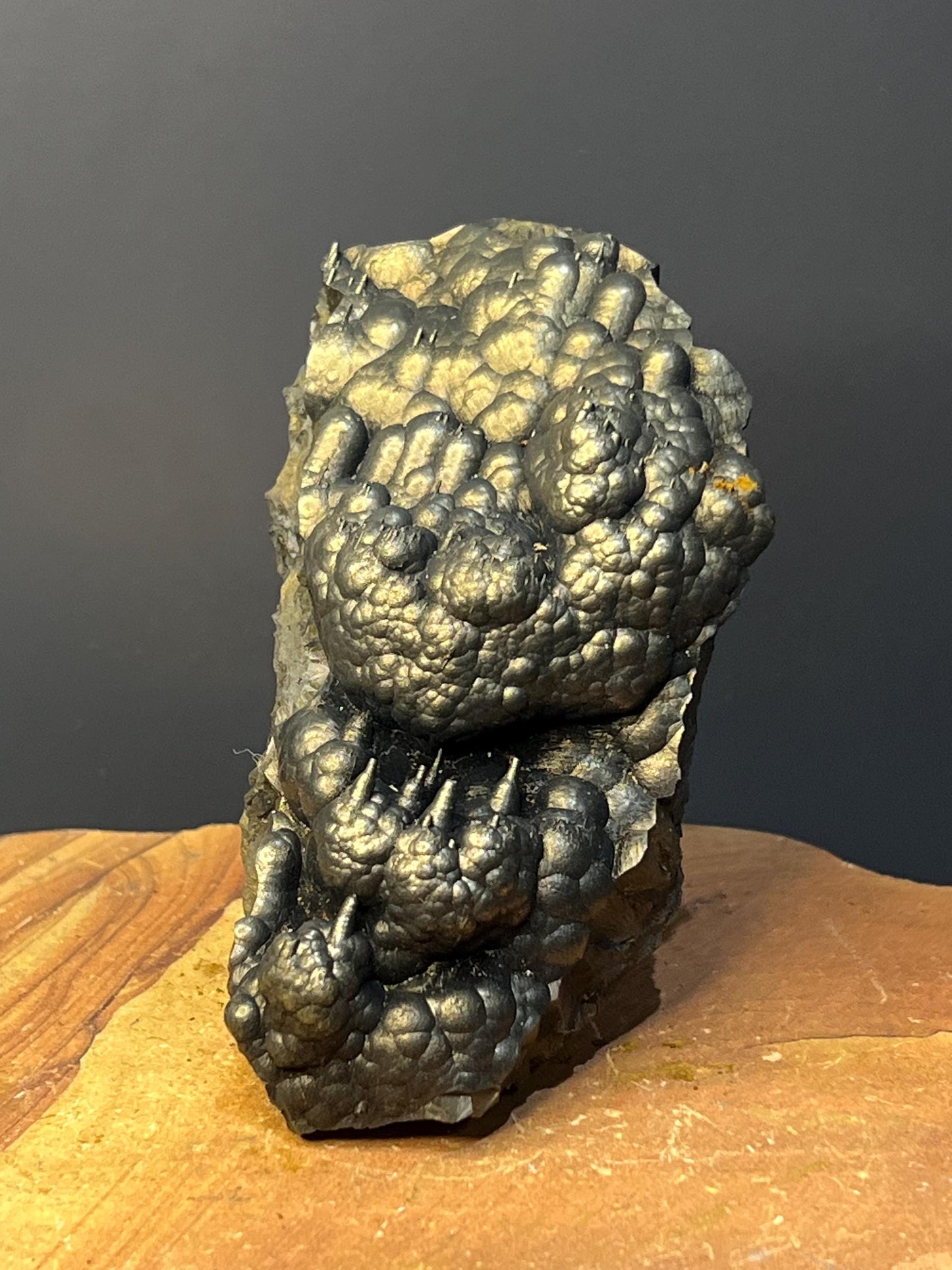 Museum Grade Very Showy Botryoidal And Stalactite Formation Golden Goethite Specimen - Crystal Gemstone AE 