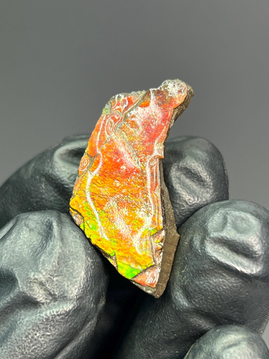 Iridescent Ammolite Specimen - Crystal Gemstone AE 