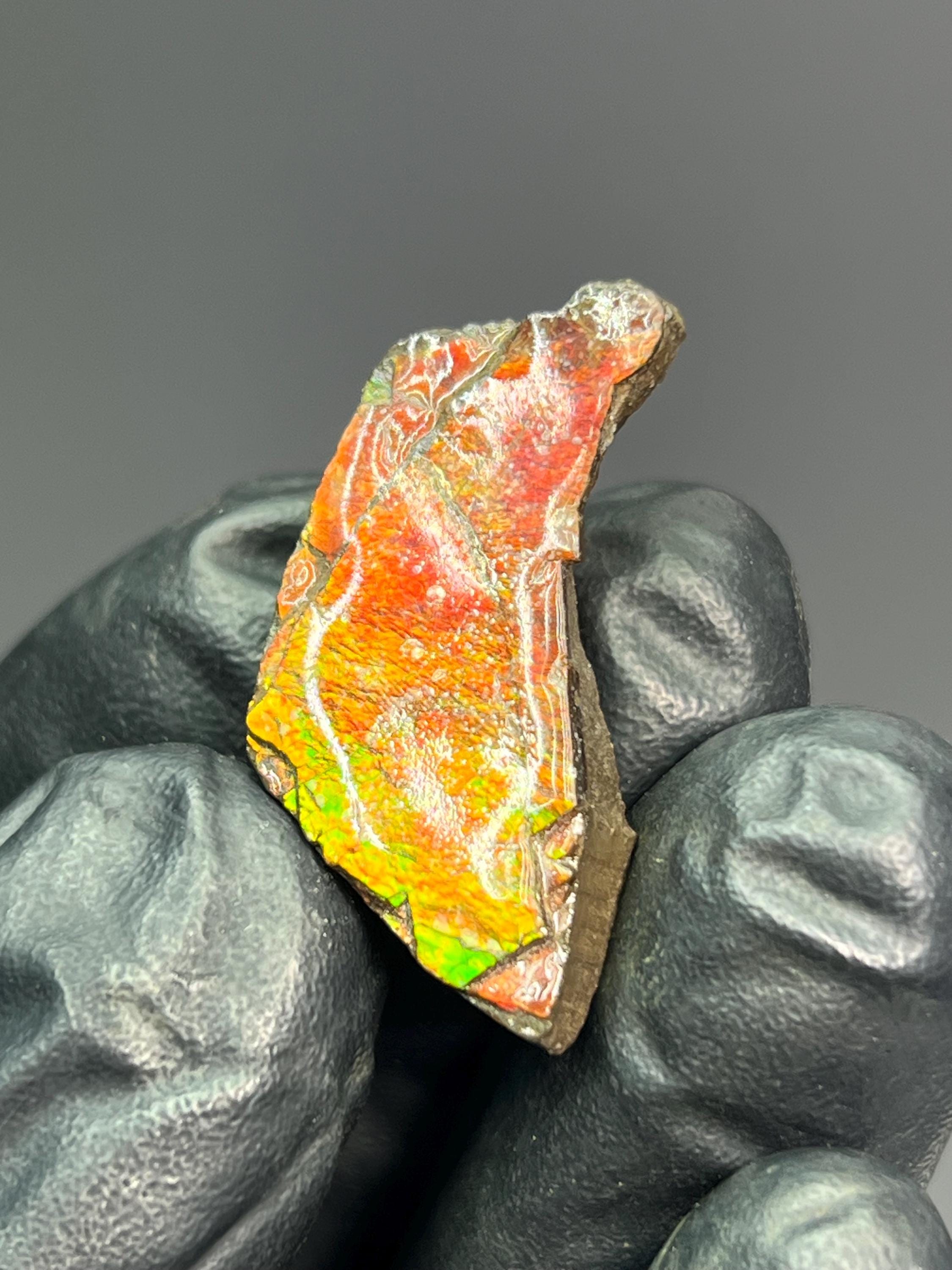 Iridescent Ammolite Specimen - Crystal Gemstone AE 