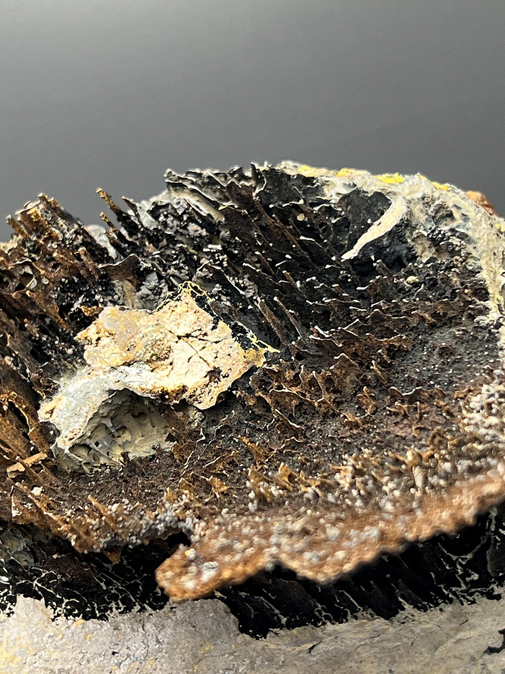 Museum Grade, Very Special Limonite With Stalactite Goethite Specimen - Crystal Gemstone AE 