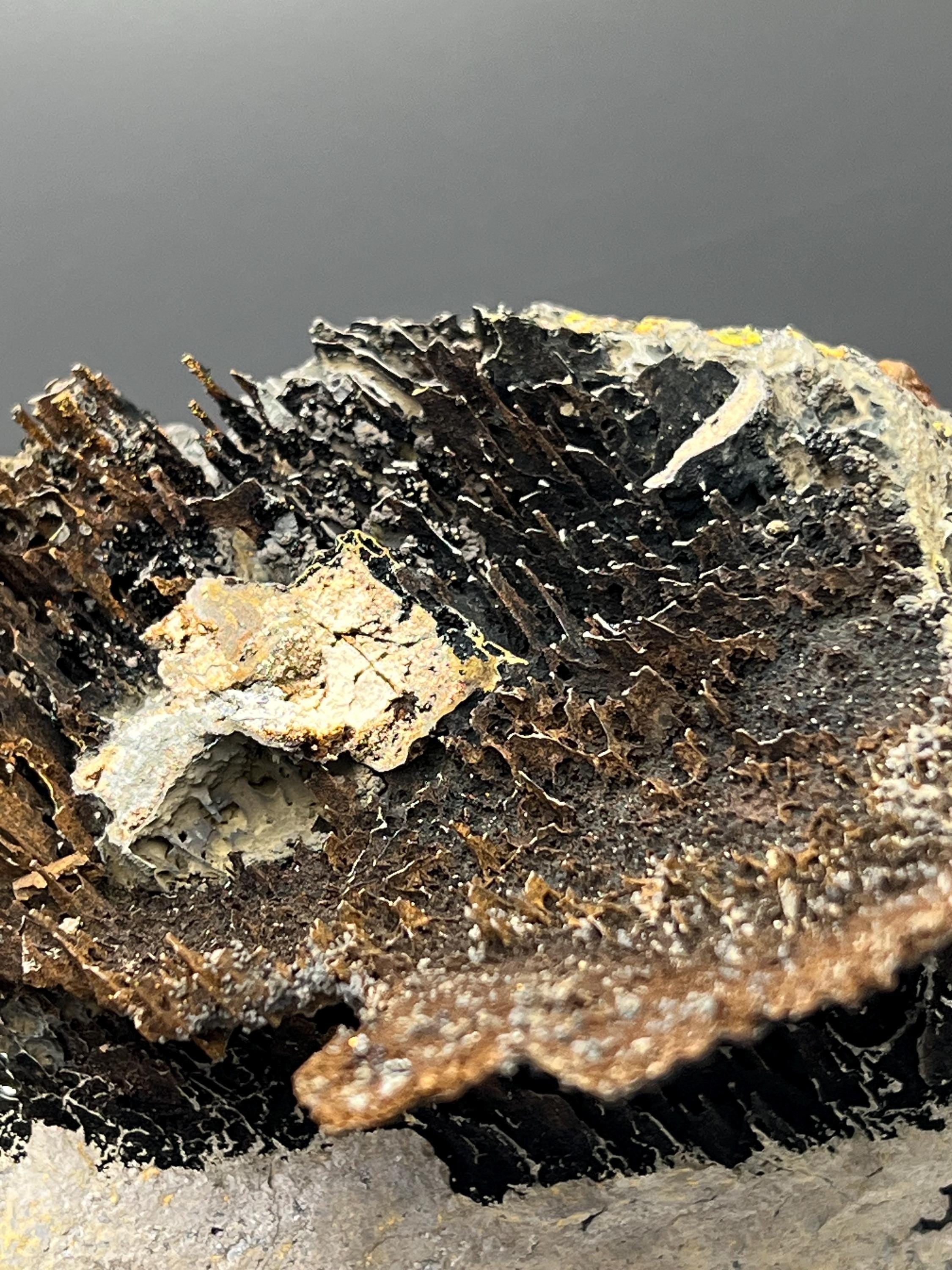 Museum Grade, Very Special Limonite With Stalactite Goethite Specimen - Crystal Gemstone AE 