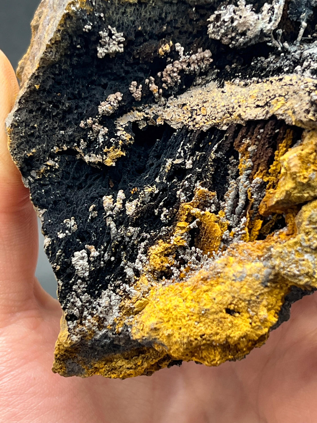 Limonite and Specularite on Stalactite Goethite - Crystal Gemstone AE 