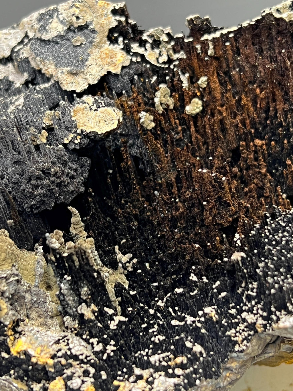 Museum Grade, Very Special Specularite And Limonite With Stalactite Goethite Specimen - Crystal Gemstone AE 