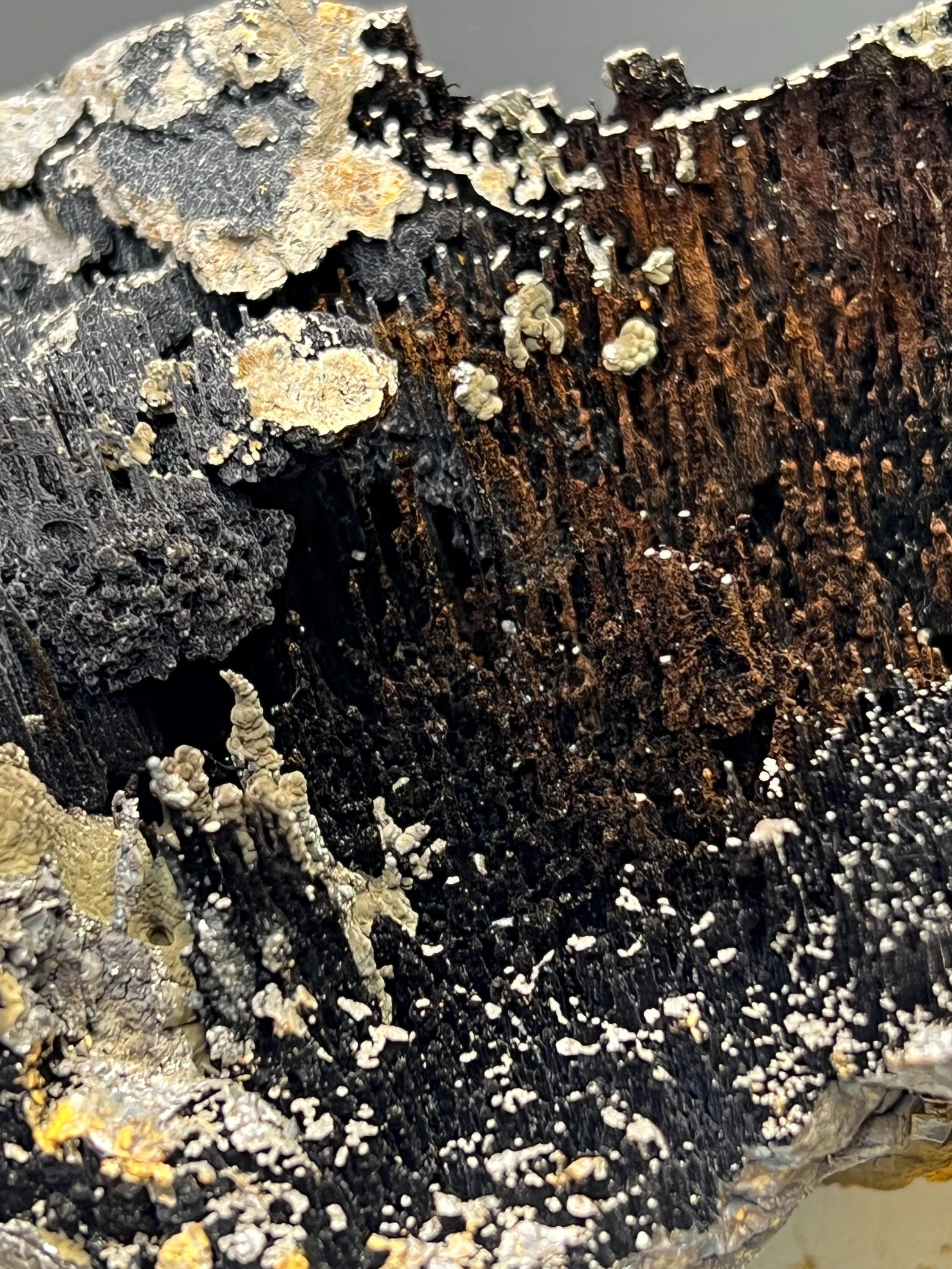 Museum Grade, Very Special Specularite And Limonite With Stalactite Goethite Specimen - Crystal Gemstone AE 