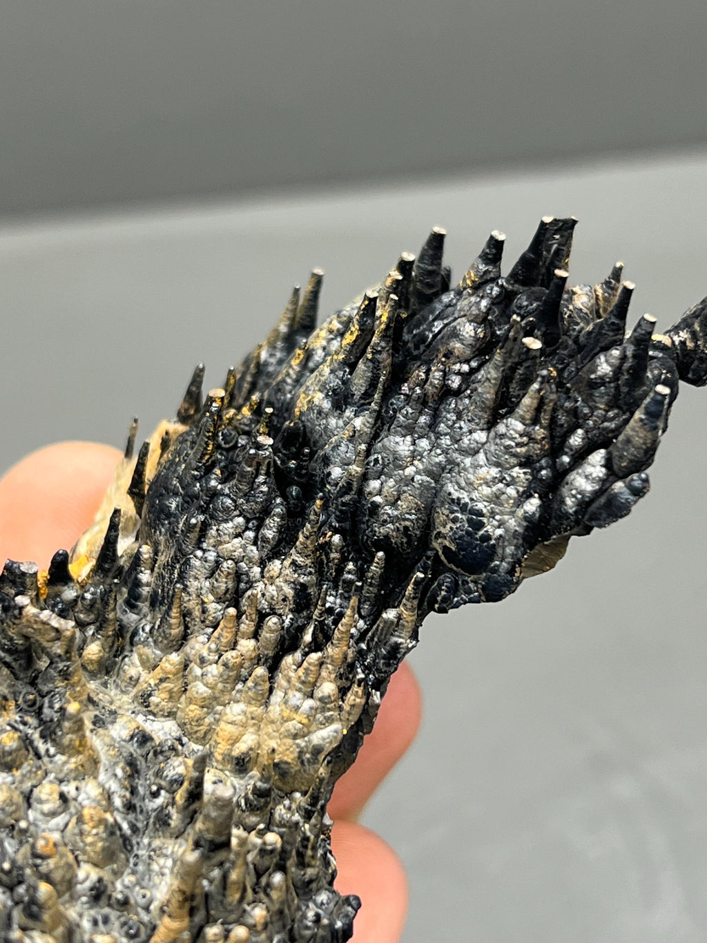 Limonite And Specularite On Stalactite Goethite - Crystal Gemstone AE 