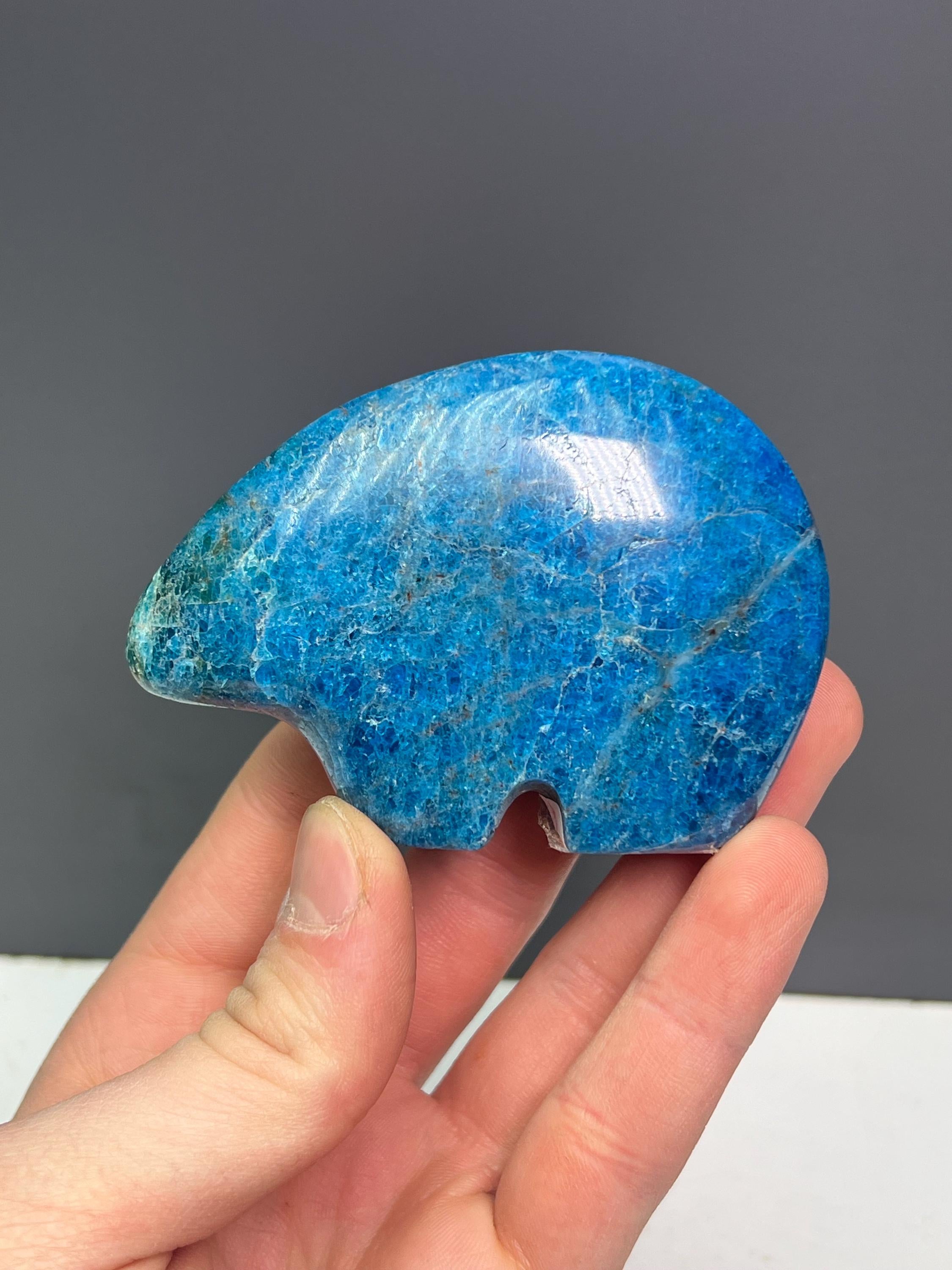 Blue Apatite Bear Totem - Crystal Gemstone AE 