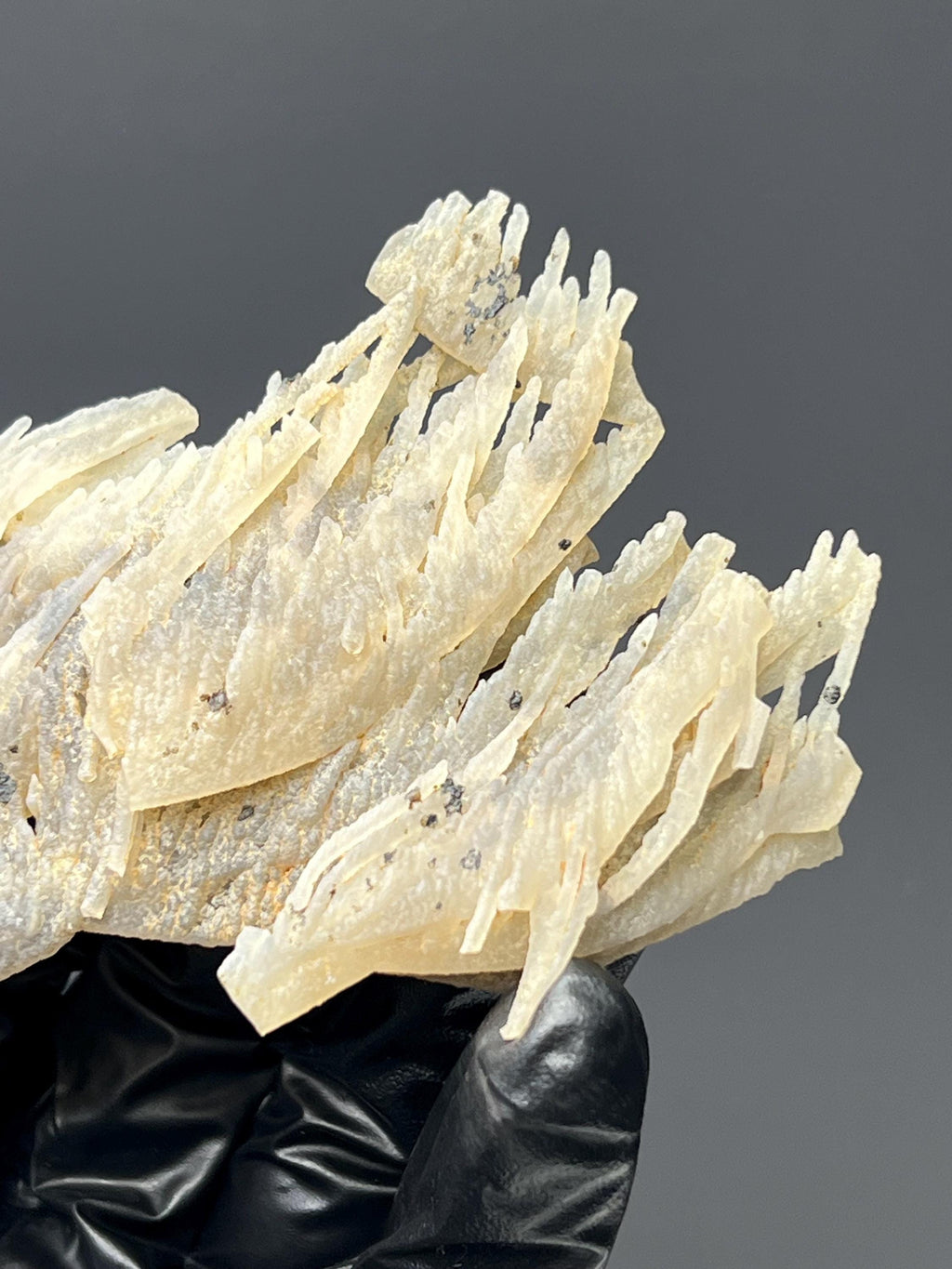 Special Stalactite Chalcedony Specimen - Crystal Gemstone AE 