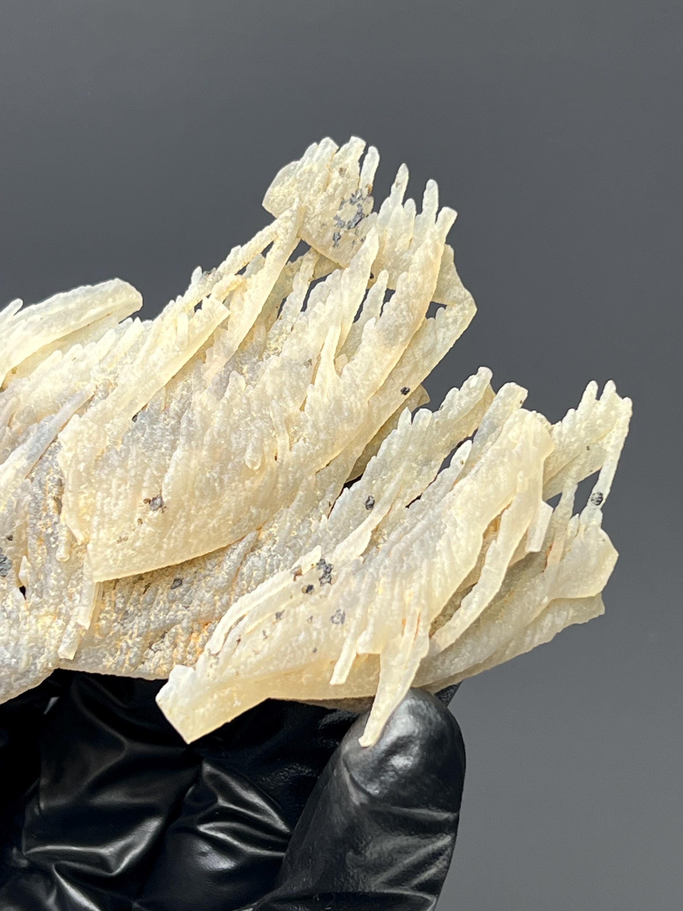 Special Stalactite Chalcedony Specimen - Crystal Gemstone AE 