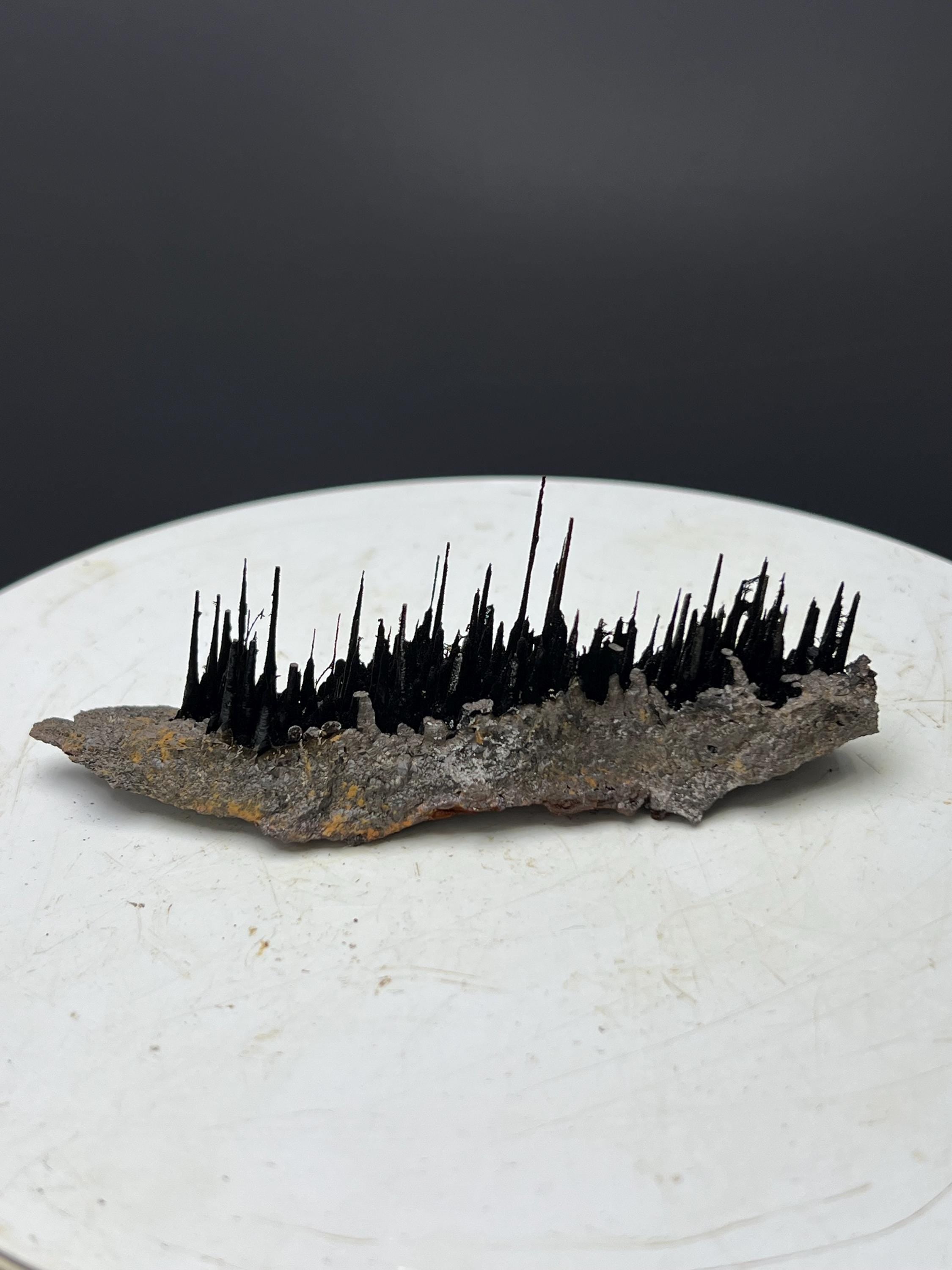 Museum Piece! Showy Stalactite Forest Goethite Specimen - Crystal Gemstone AE 