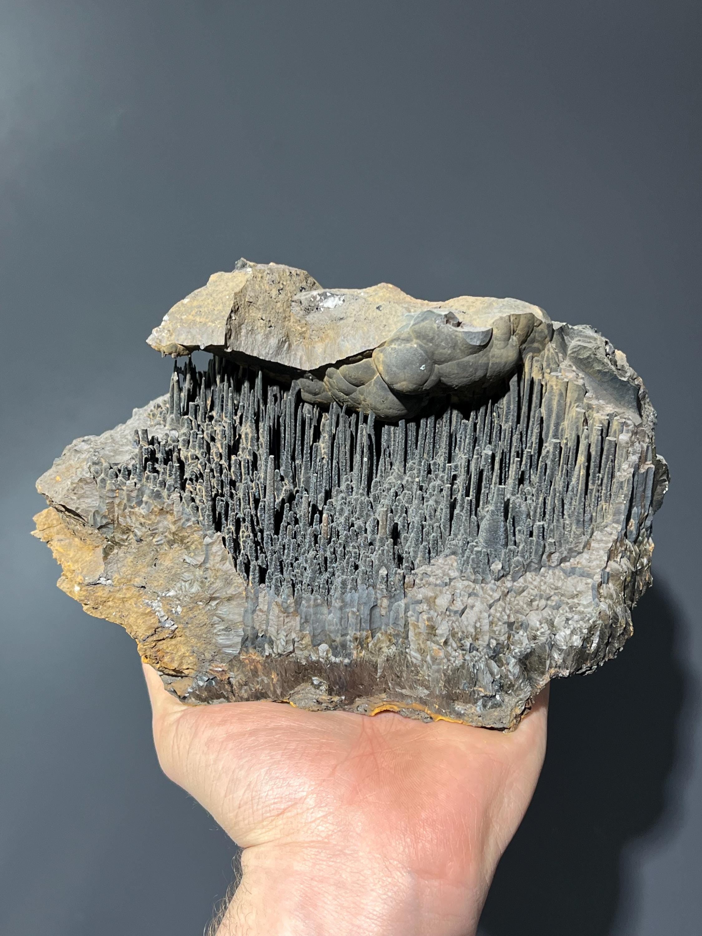 Museum Quality Stalactite Goethite - Crystal Gemstone AE 