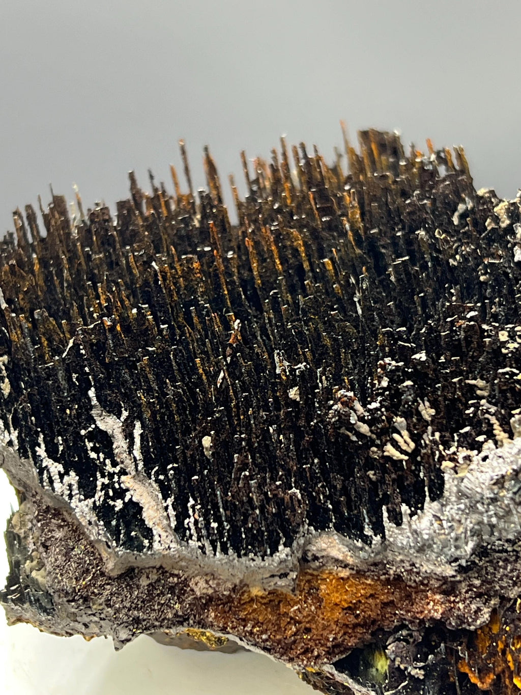 Museum Quality! Limonite With Stalactite Goethite Specimen - Crystal Gemstone AE 
