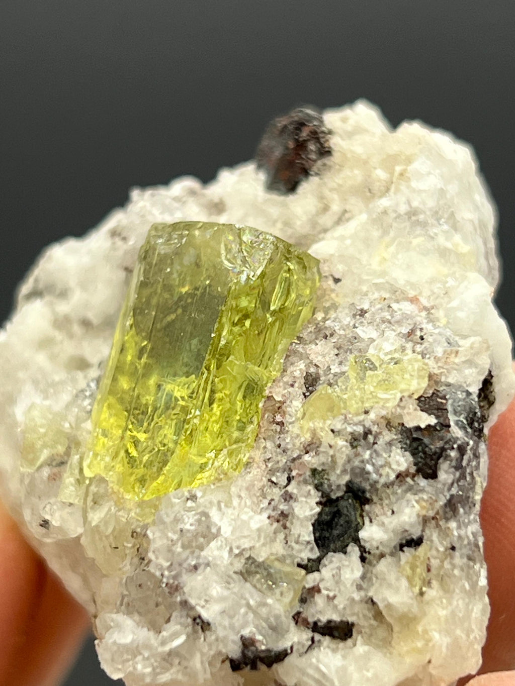 Apatite and black tourmaline on calcite, From Mexico - Crystal Gemstone AE 