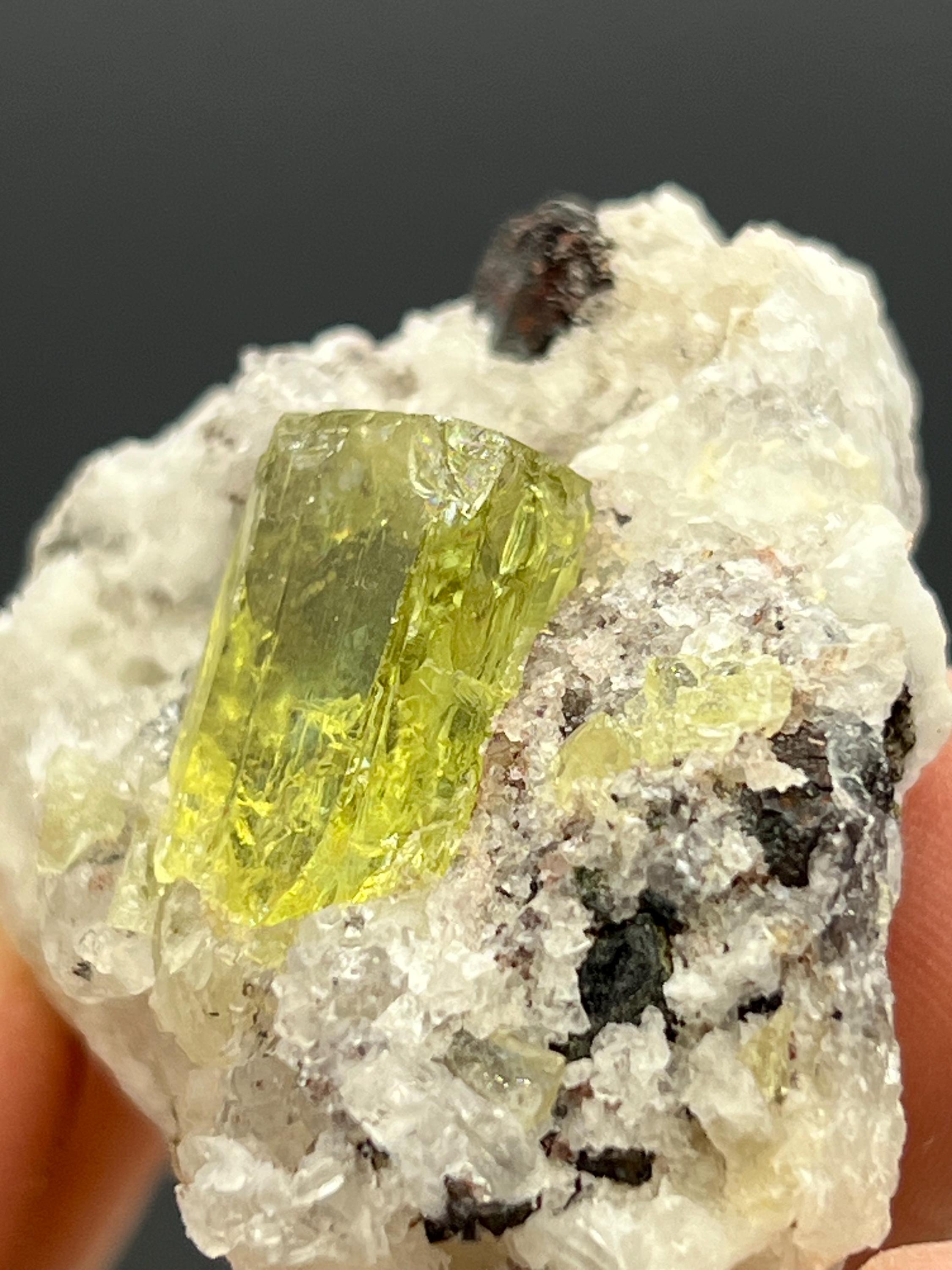 Apatite and black tourmaline on calcite, From Mexico - Crystal Gemstone AE 