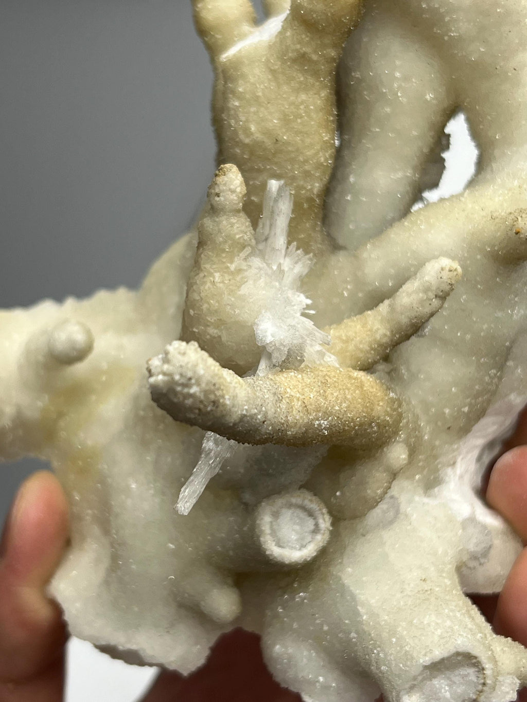 Very Special And Showy Stalactite Aragonite Mineral, From Turkey - Crystal Gemstone AE 