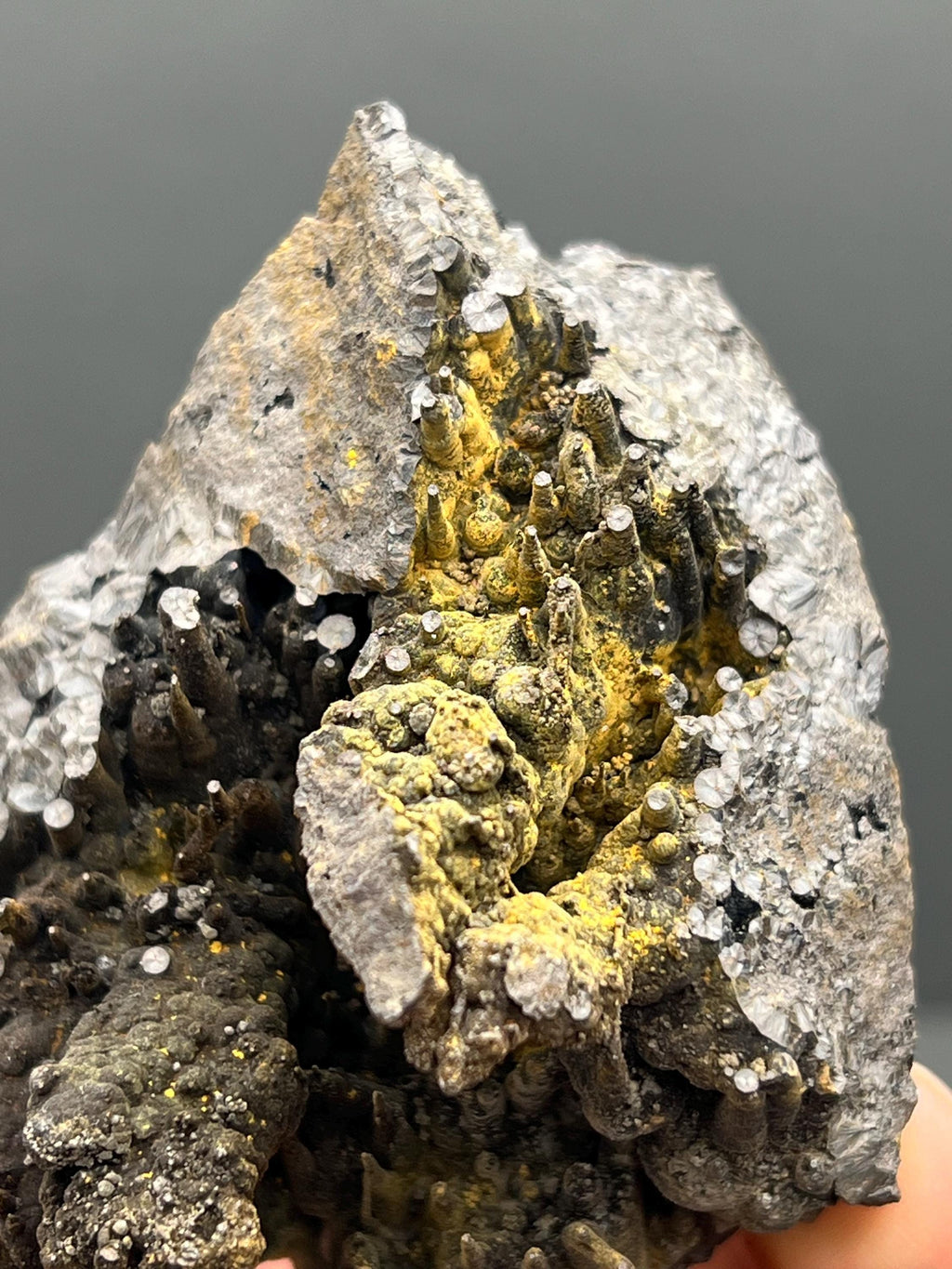 Limonite On Stalactite Goethite Specimen - Crystal Gemstone AE 