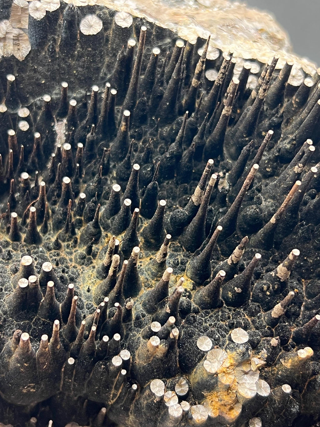 Museum Grade Limonite On Stalactite Goethite - Crystal Gemstone AE 