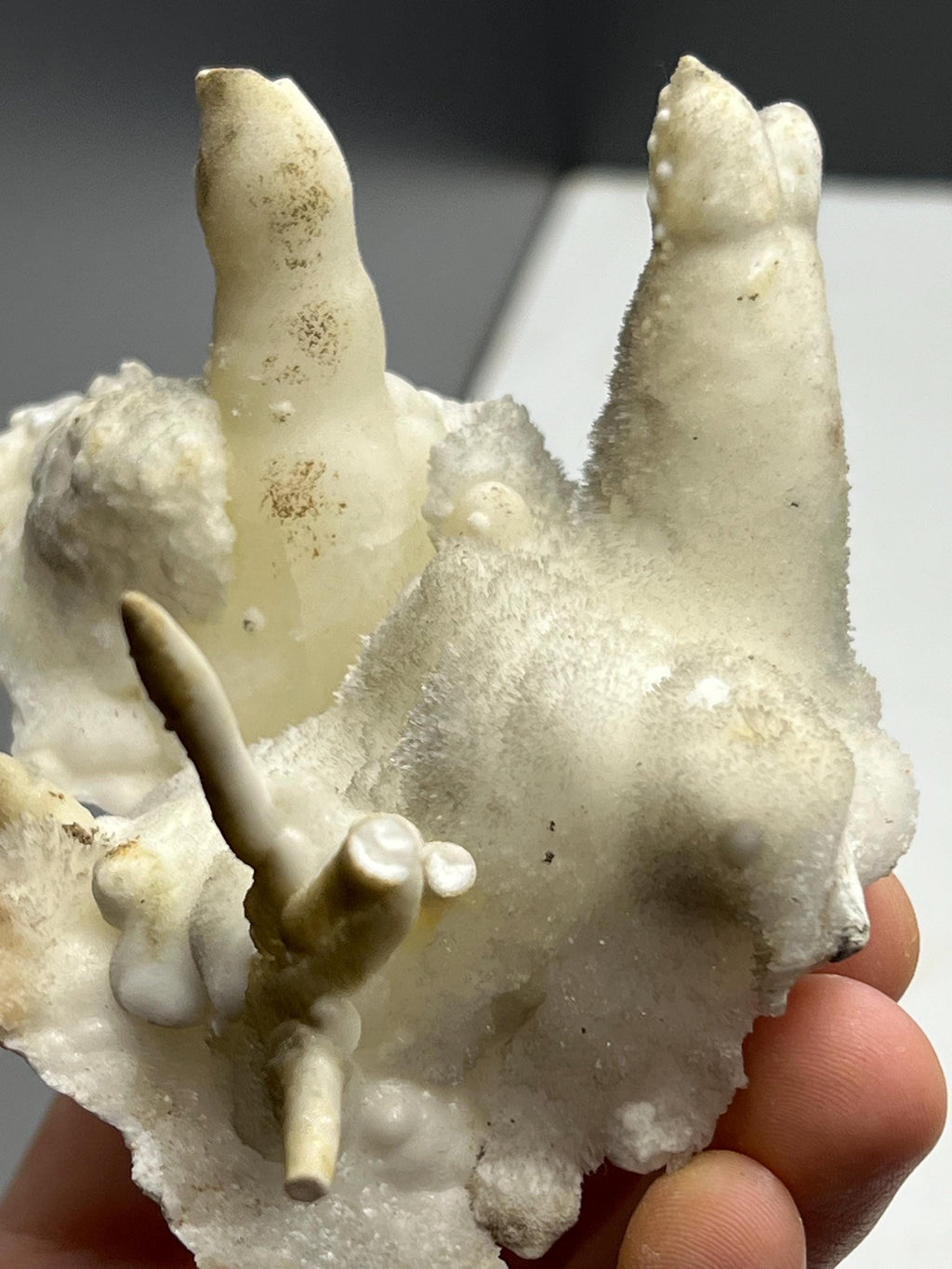 Special Formed Stalactite Aragonite Mineral, From Turkey - Crystal Gemstone AE 