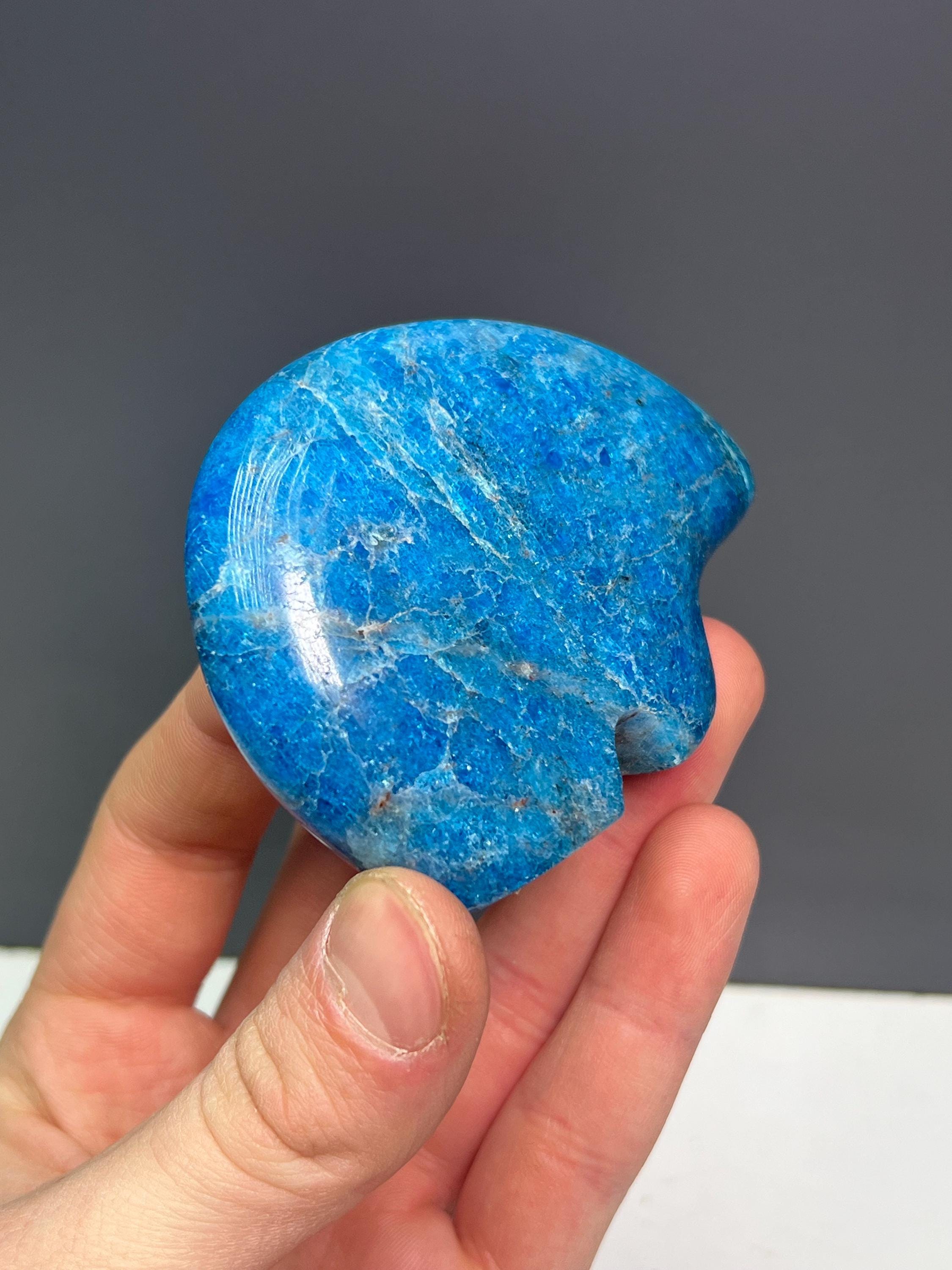Blue Apatite Bear Totem - Crystal Gemstone AE 