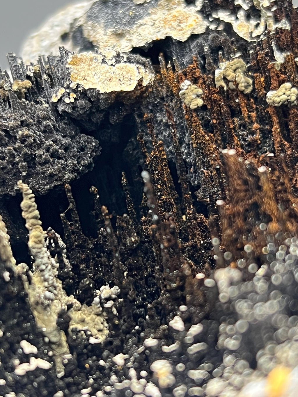 Museum Grade, Very Special Specularite And Limonite With Stalactite Goethite Specimen - Crystal Gemstone AE 