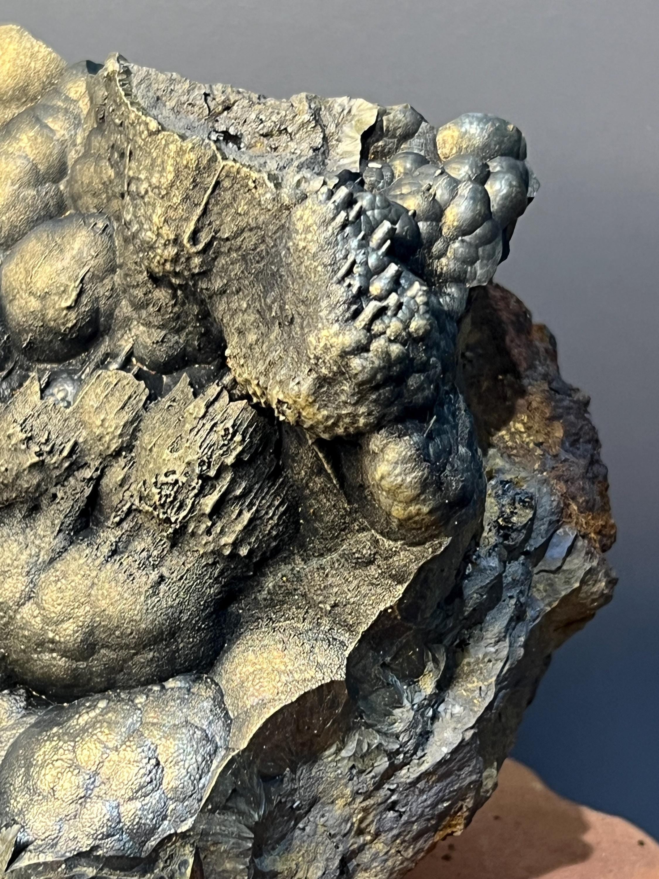 Museum Quality, Very Special Golden Color Stalactite And Botryoidal Formation Goethite Specimen - Crystal Gemstone AE 