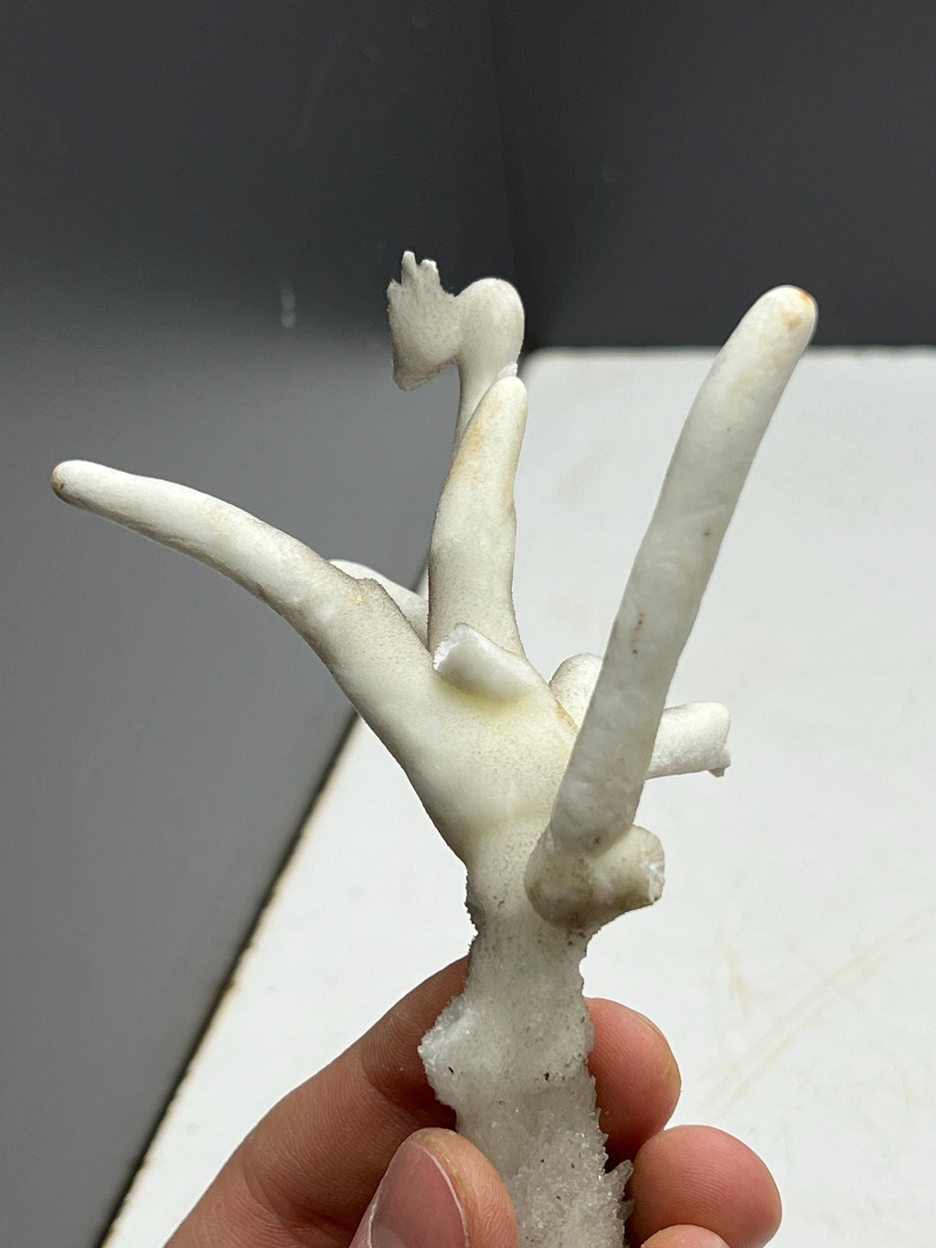 Very Special Formed Stalactite Aragonite Mineral, From Turkey - Crystal Gemstone AE 