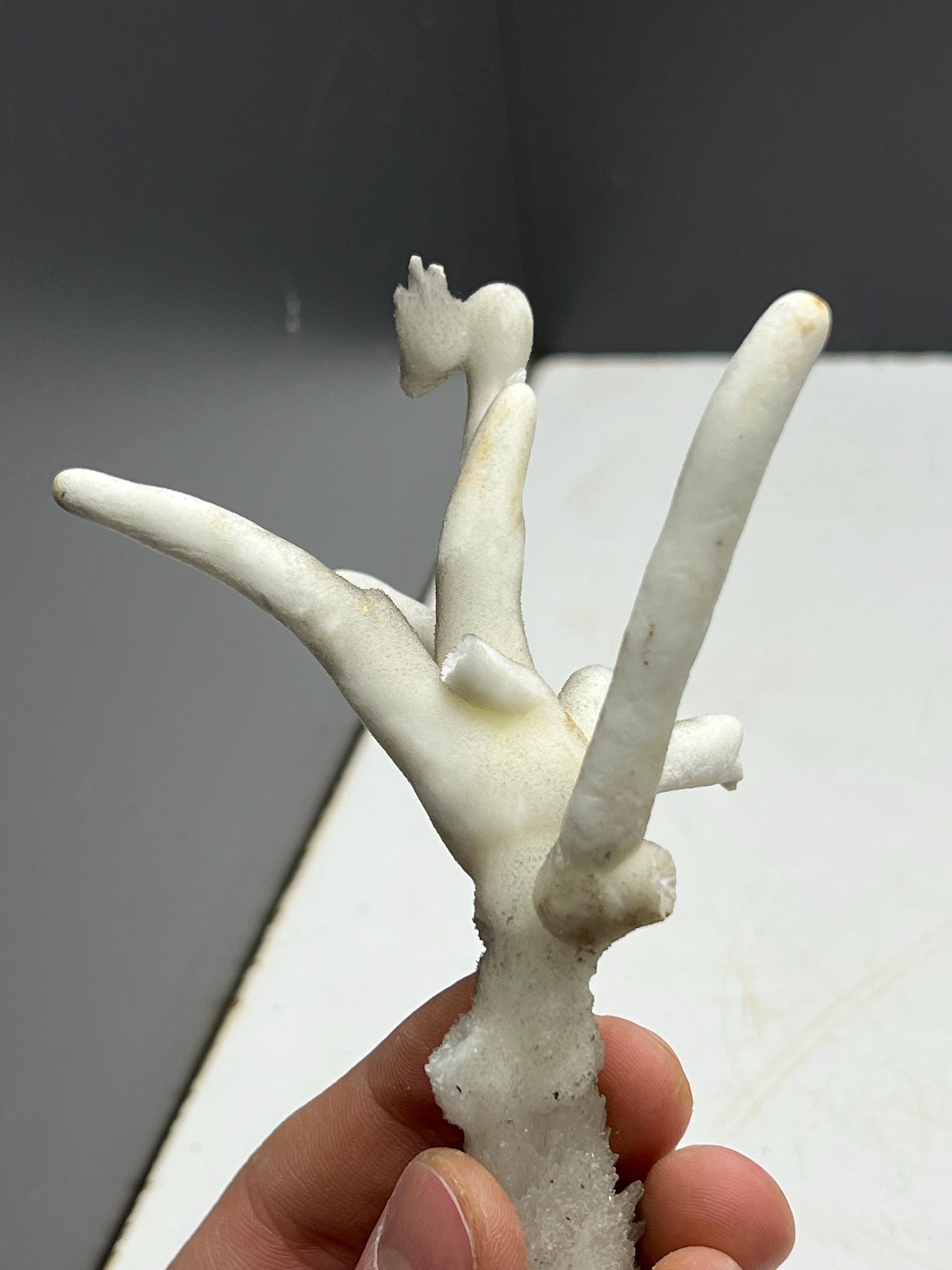 Very Special Formed Stalactite Aragonite Mineral, From Turkey - Crystal Gemstone AE 