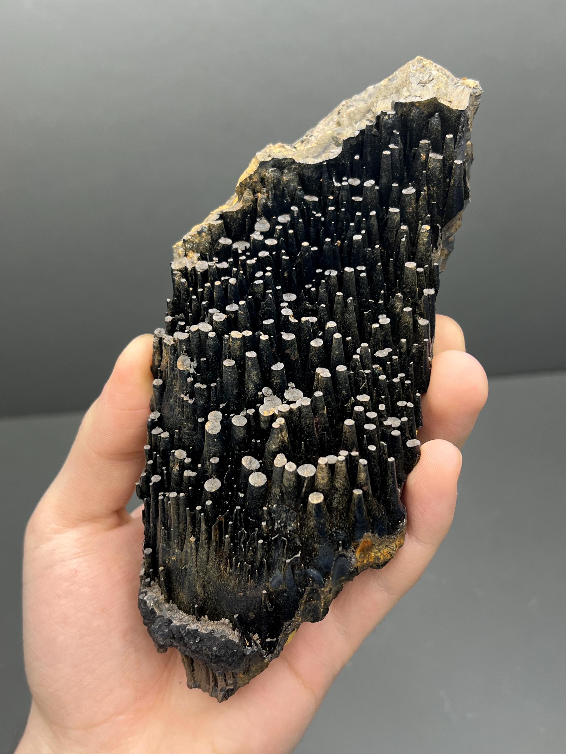 Special Quality, Very Showy Stalactite goethtite mineral, For Special Collection - Crystal Gemstone AE 