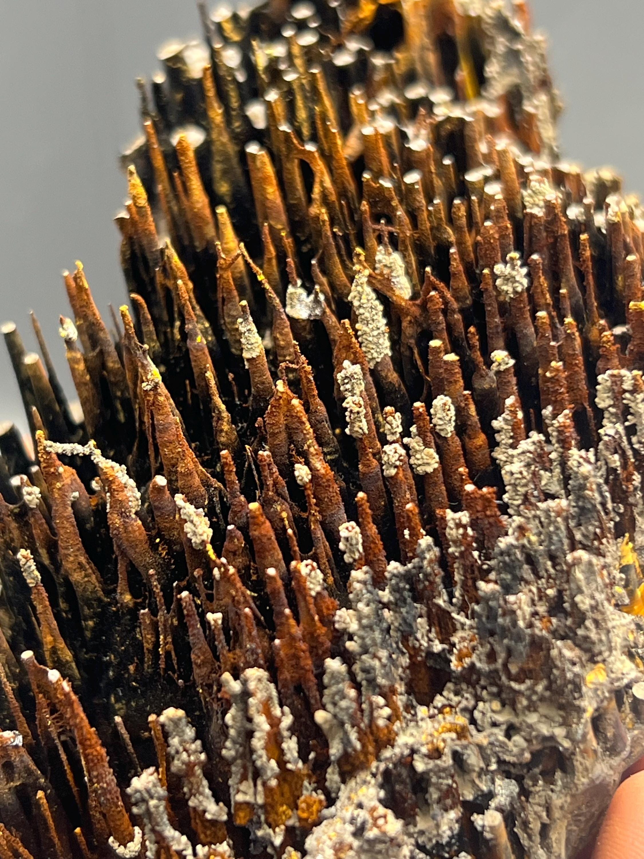 Museum quality, Very showy limonite and specularite with stalactite Goethite, special collections piece - Crystal Gemstone AE 