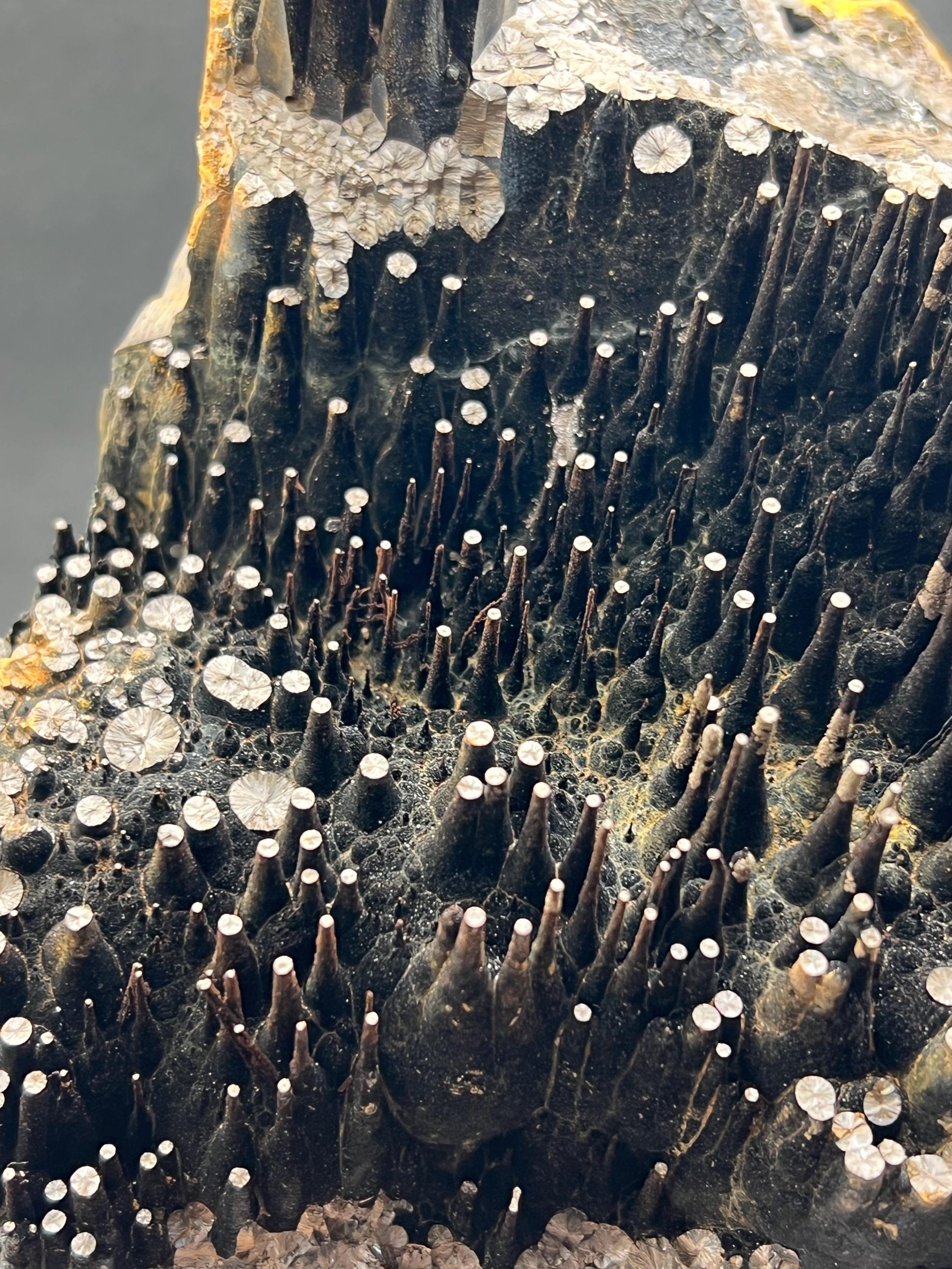 Museum Grade Limonite On Stalactite Goethite - Crystal Gemstone AE 