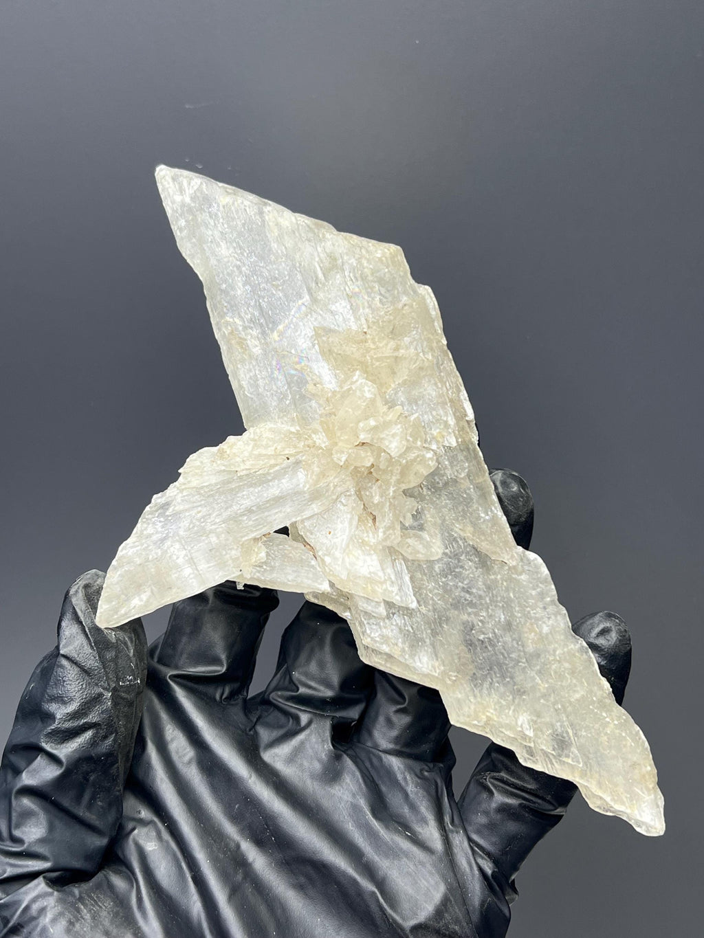 Gypsum Selenite Crystal Specimen - Crystal Gemstone AE 