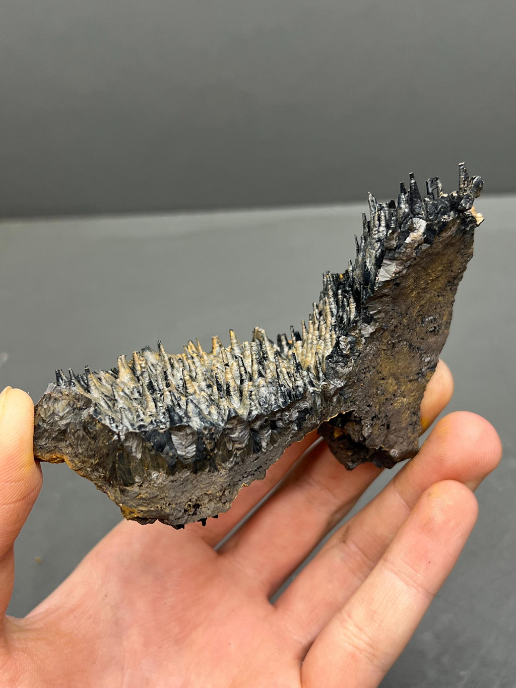 Limonite And Specularite On Stalactite Goethite - Crystal Gemstone AE 
