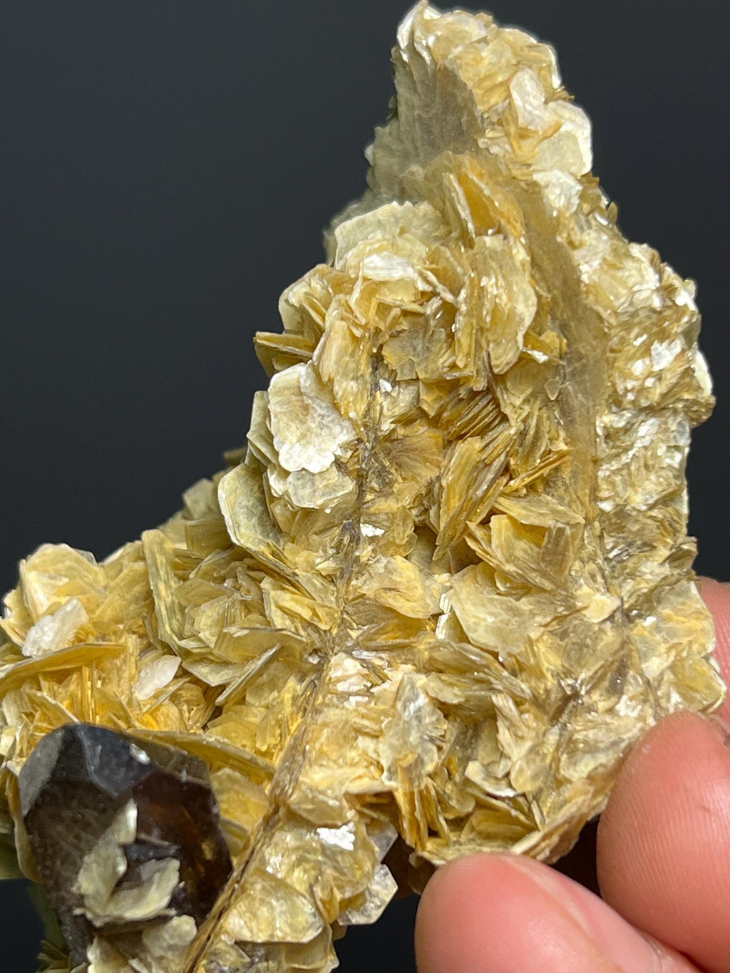Muscovite With Smoky Quartz - Brazil - Crystal Gemstone AE 