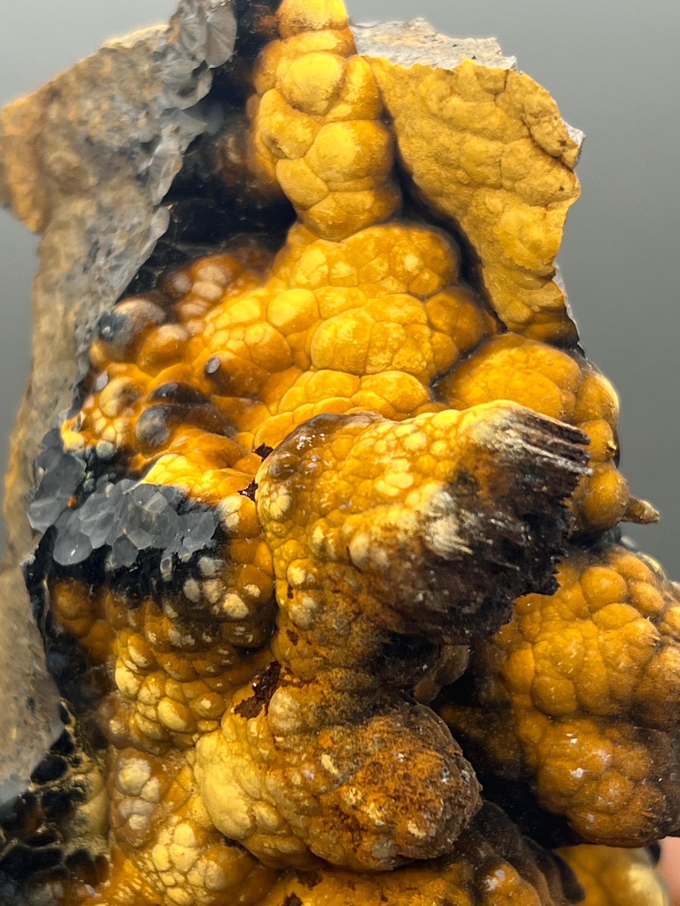 High Grade Limonite On Botryoidal Goethite With Stalactites - Crystal Gemstone AE 