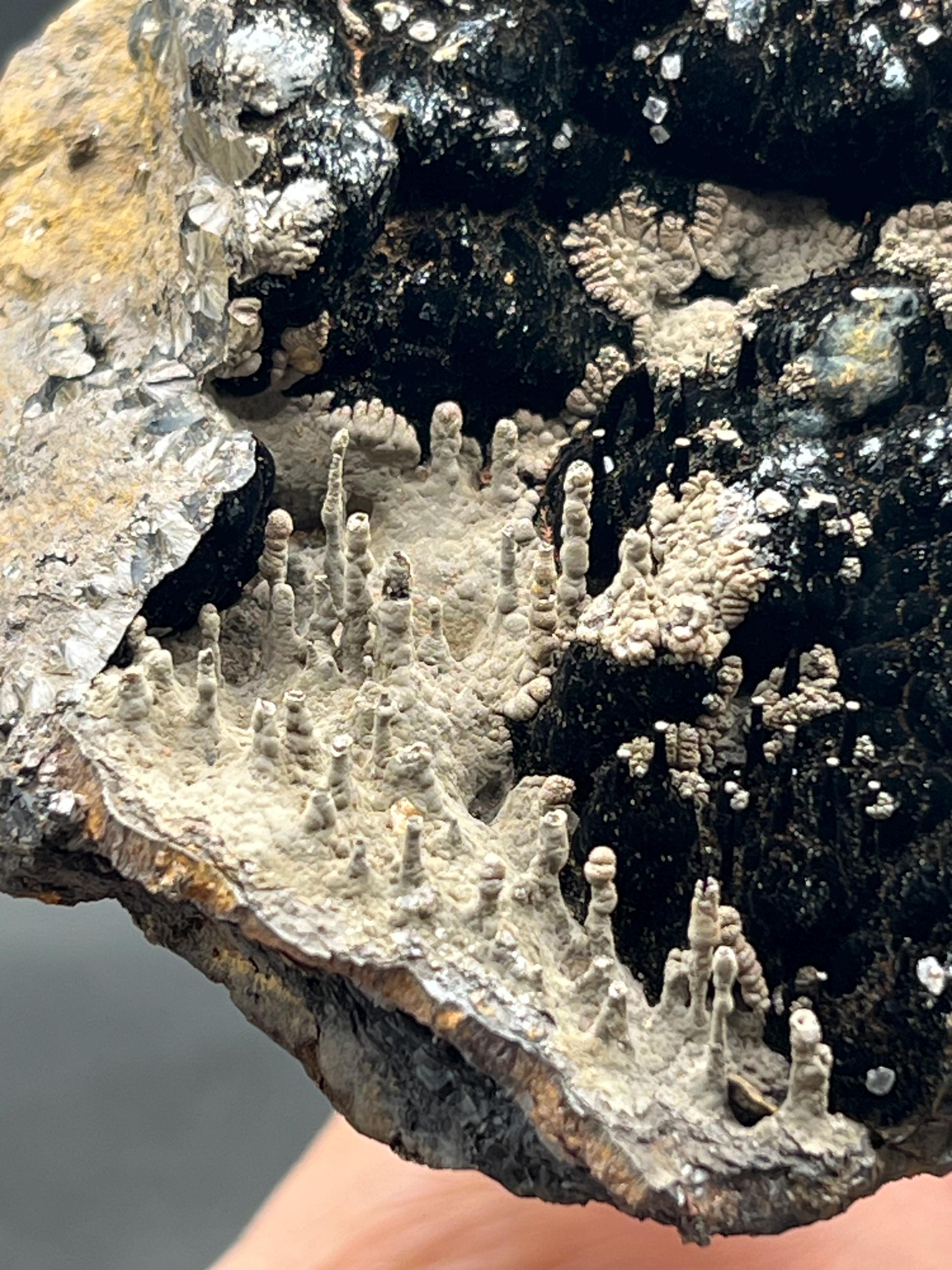 Limonite And Specularite On Stalactite Goethite - Crystal Gemstone AE 