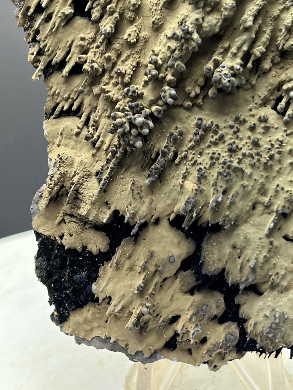 Very Special And Showy Specularite On Stalactite Goethite - Crystal Gemstone AE 