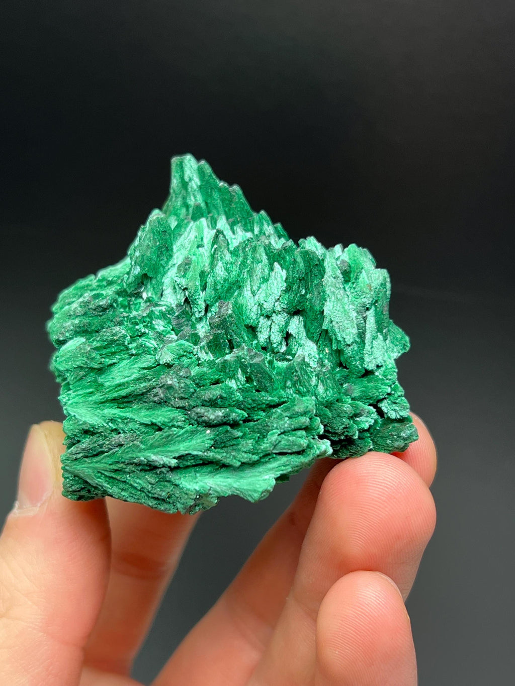 Showy Malachite Specimen - Crystal Gemstone AE 