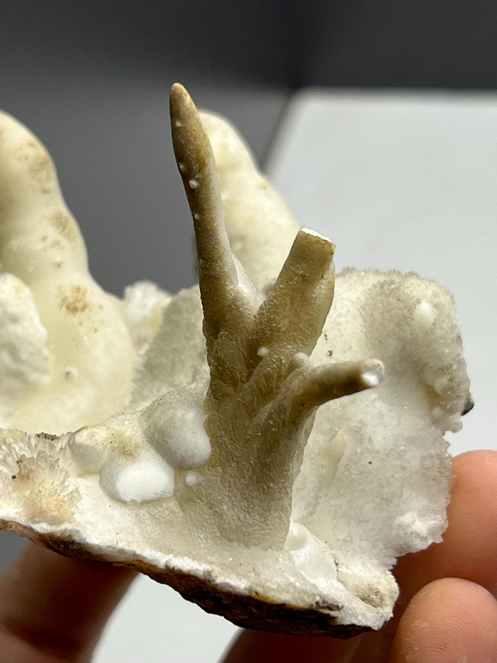 Special Formed Stalactite Aragonite Mineral, From Turkey - Crystal Gemstone AE 