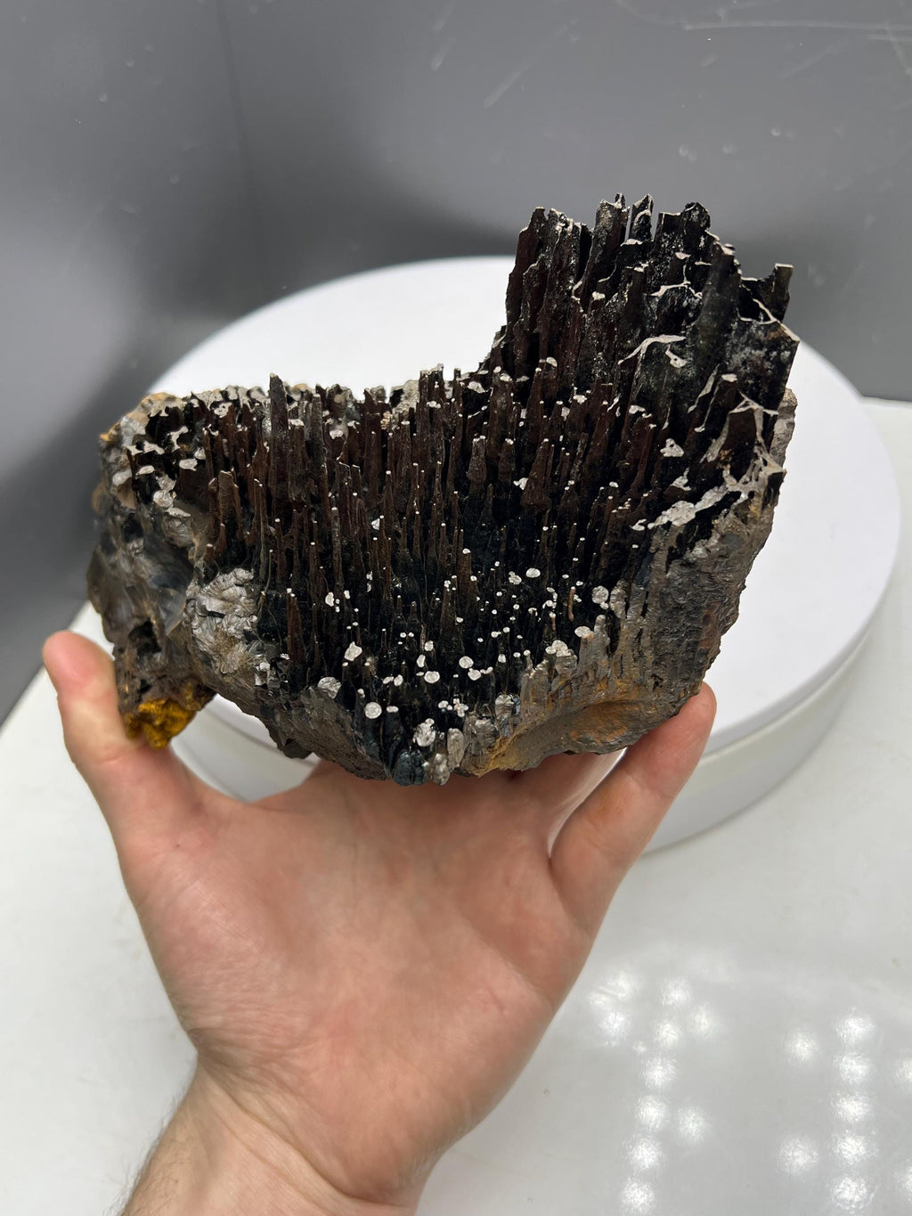 Rare Find! Limonite On Stalactite Hematite - Crystal Gemstone AE 
