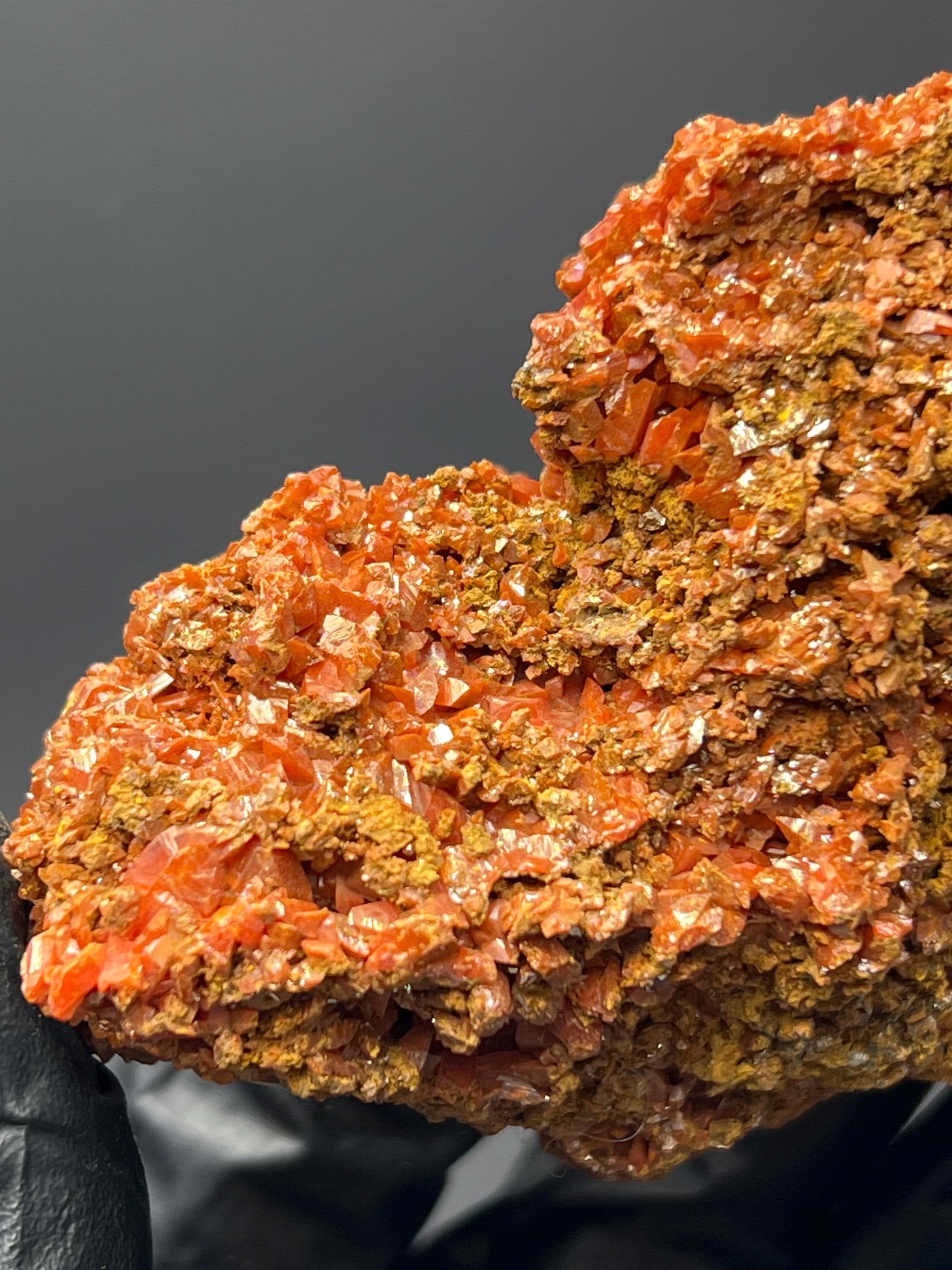 Adelaide Mine Crocoite Specimen - Tasmania Red Crystals - Crystal Gemstone AE 